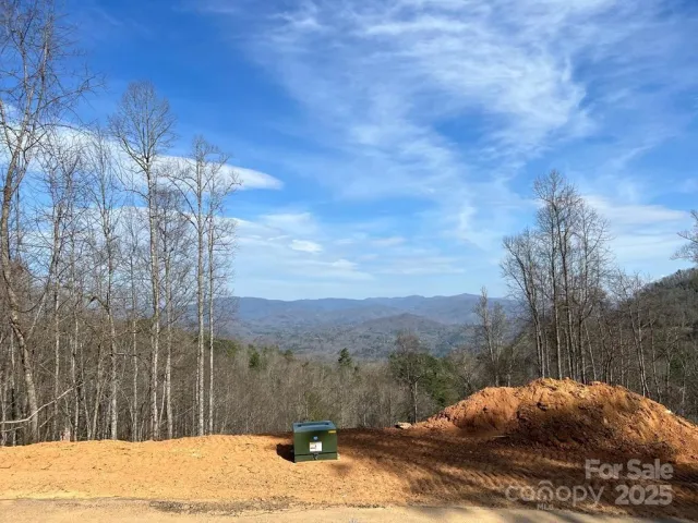 44 Bee Gum Ridge, Almond, NC, 28702