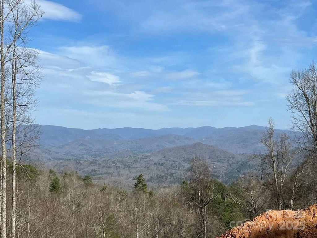 44 Bee Gum Ridge #44 - Photo 2