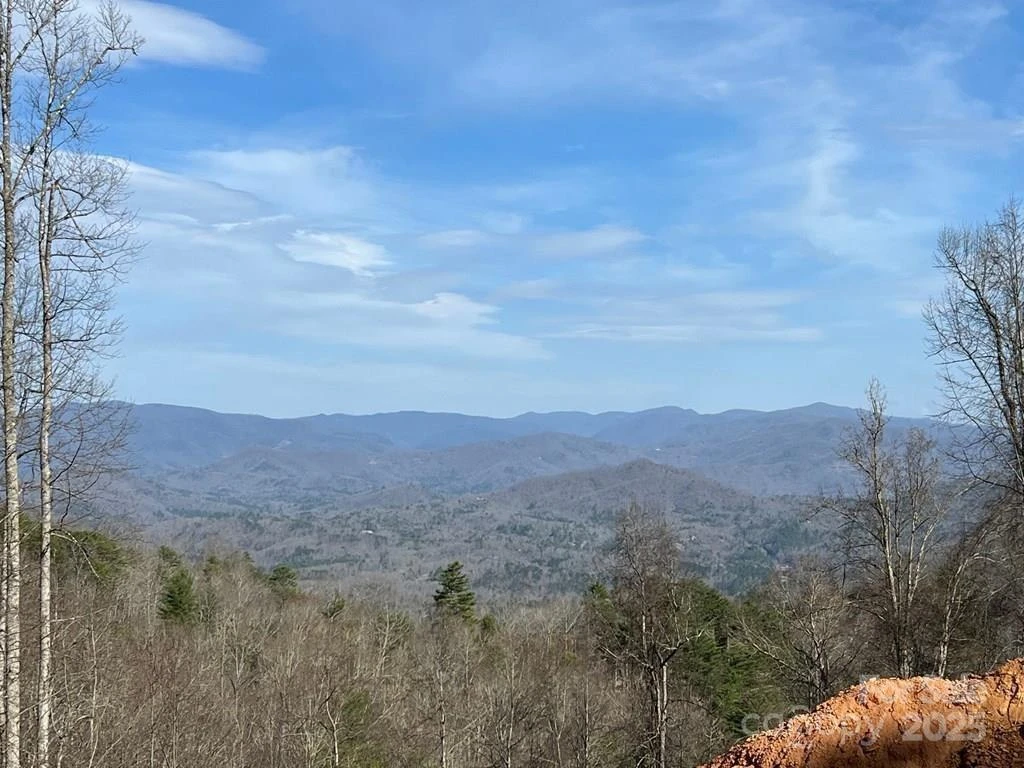 44 Bee Gum Ridge #44 - Photo 11