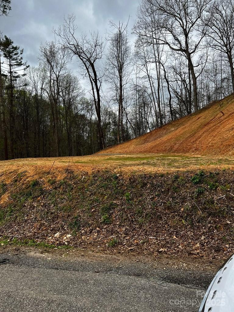 44 Bee Gum Ridge #44 - Photo 12