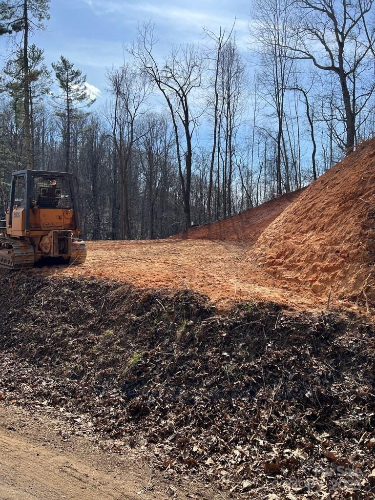 44 Bee Gum Ridge #44 - Photo 3