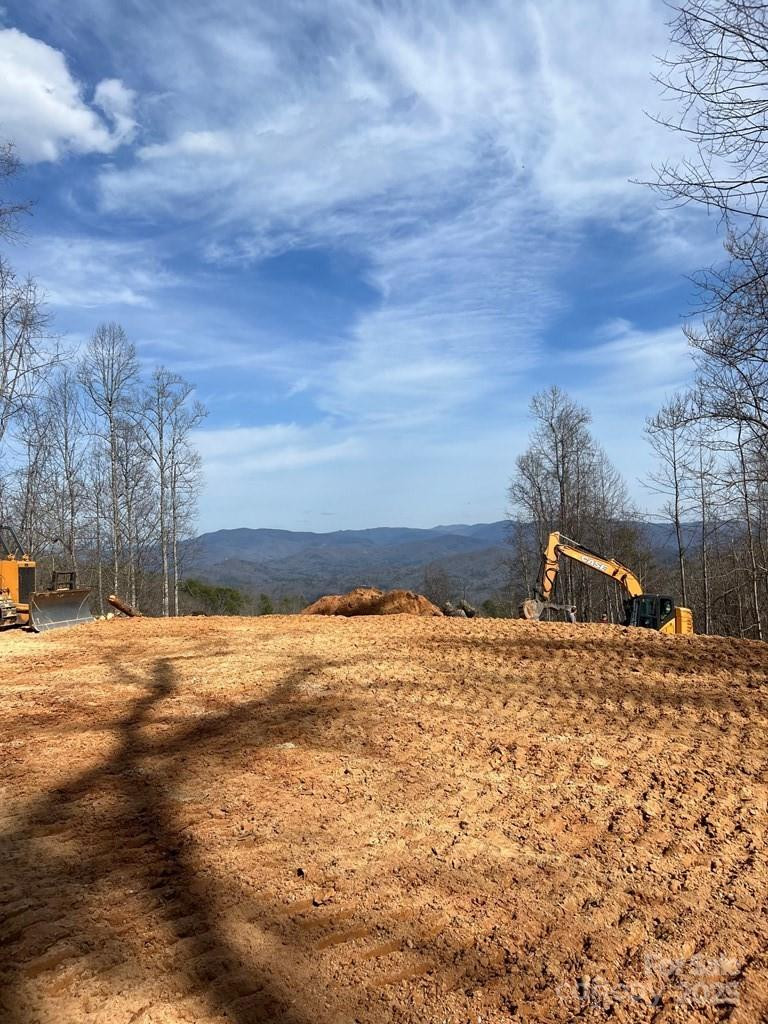 44 Bee Gum Ridge #44 - Photo 4