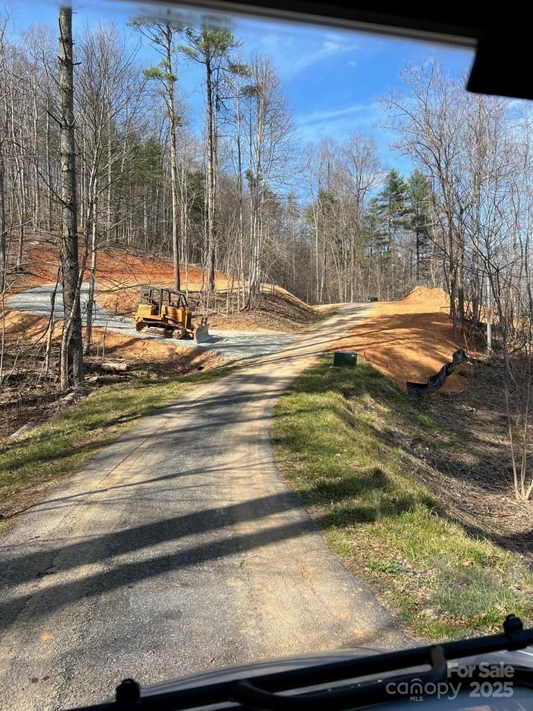 44 Bee Gum Ridge #44 - Photo 5