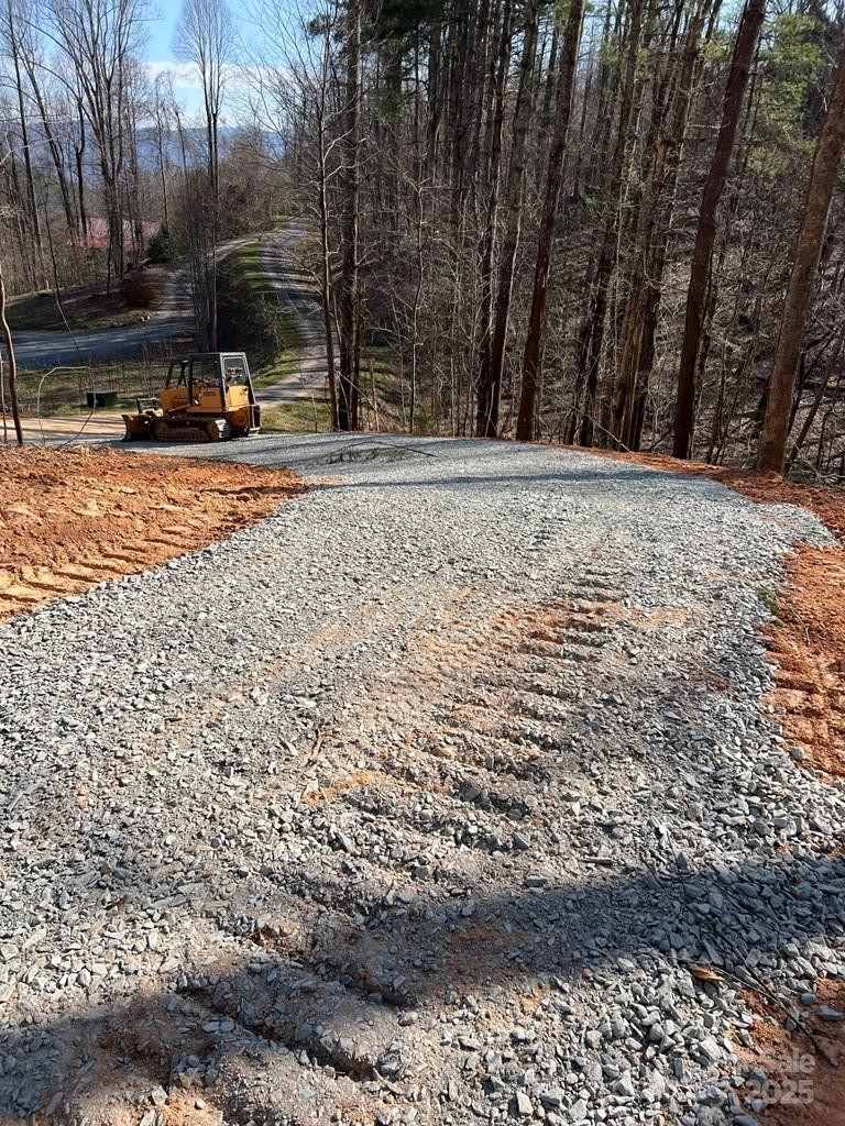 44 Bee Gum Ridge #44 - Photo 6