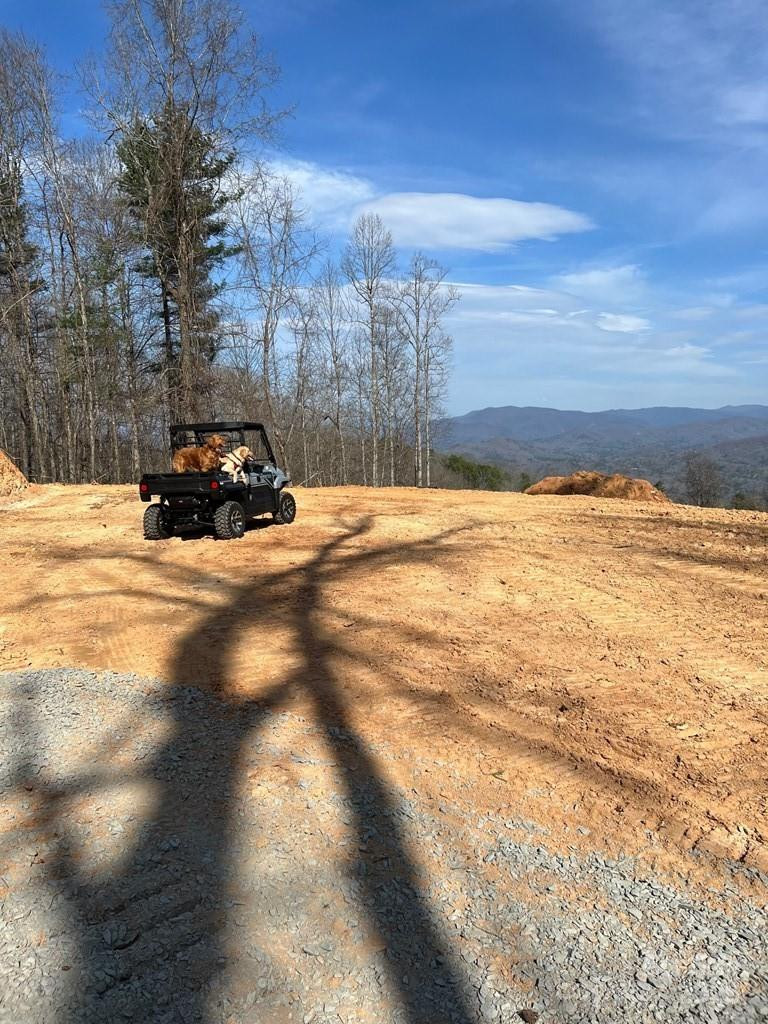 44 Bee Gum Ridge #44 - Photo 7