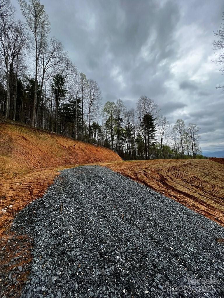 44 Bee Gum Ridge #44 - Photo 9