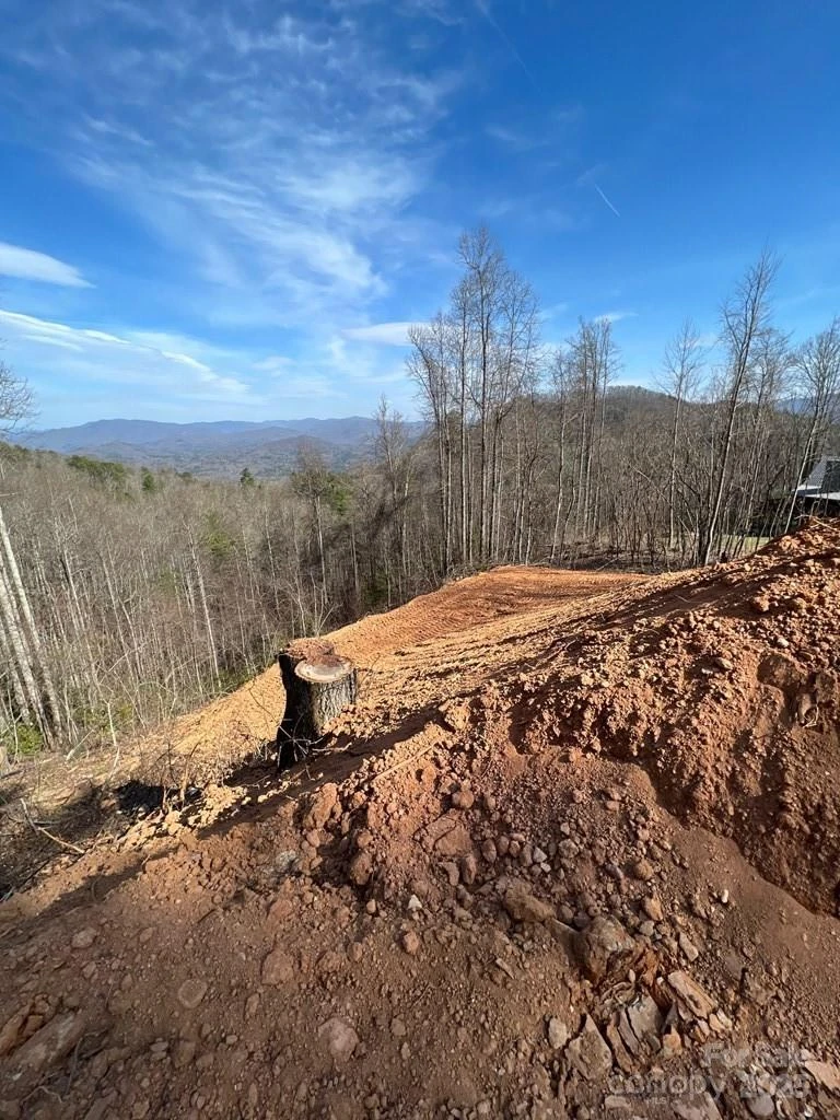 44 Bee Gum Ridge #44 - Photo 10