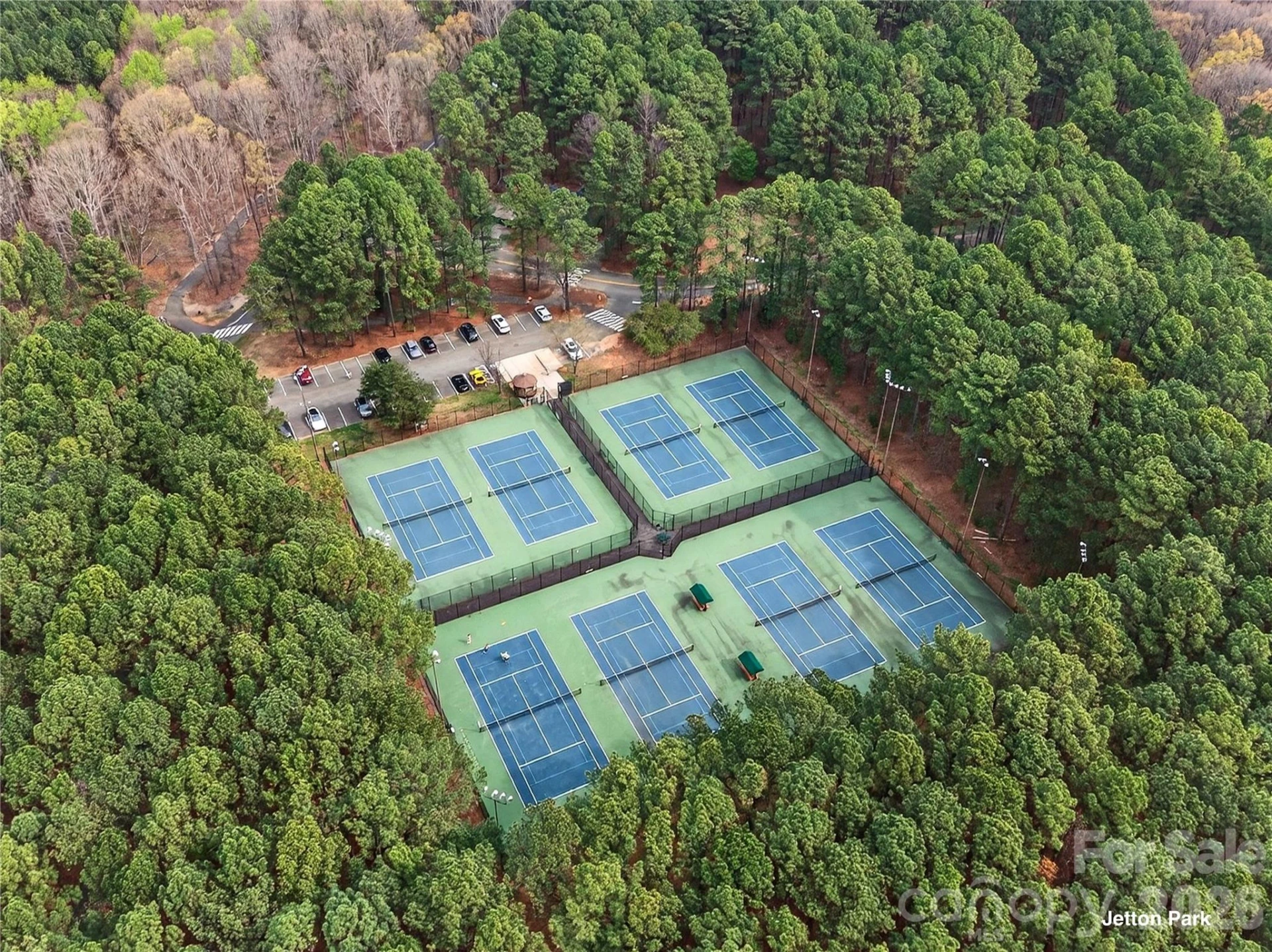 20314 Colony Point Lane - Photo 44