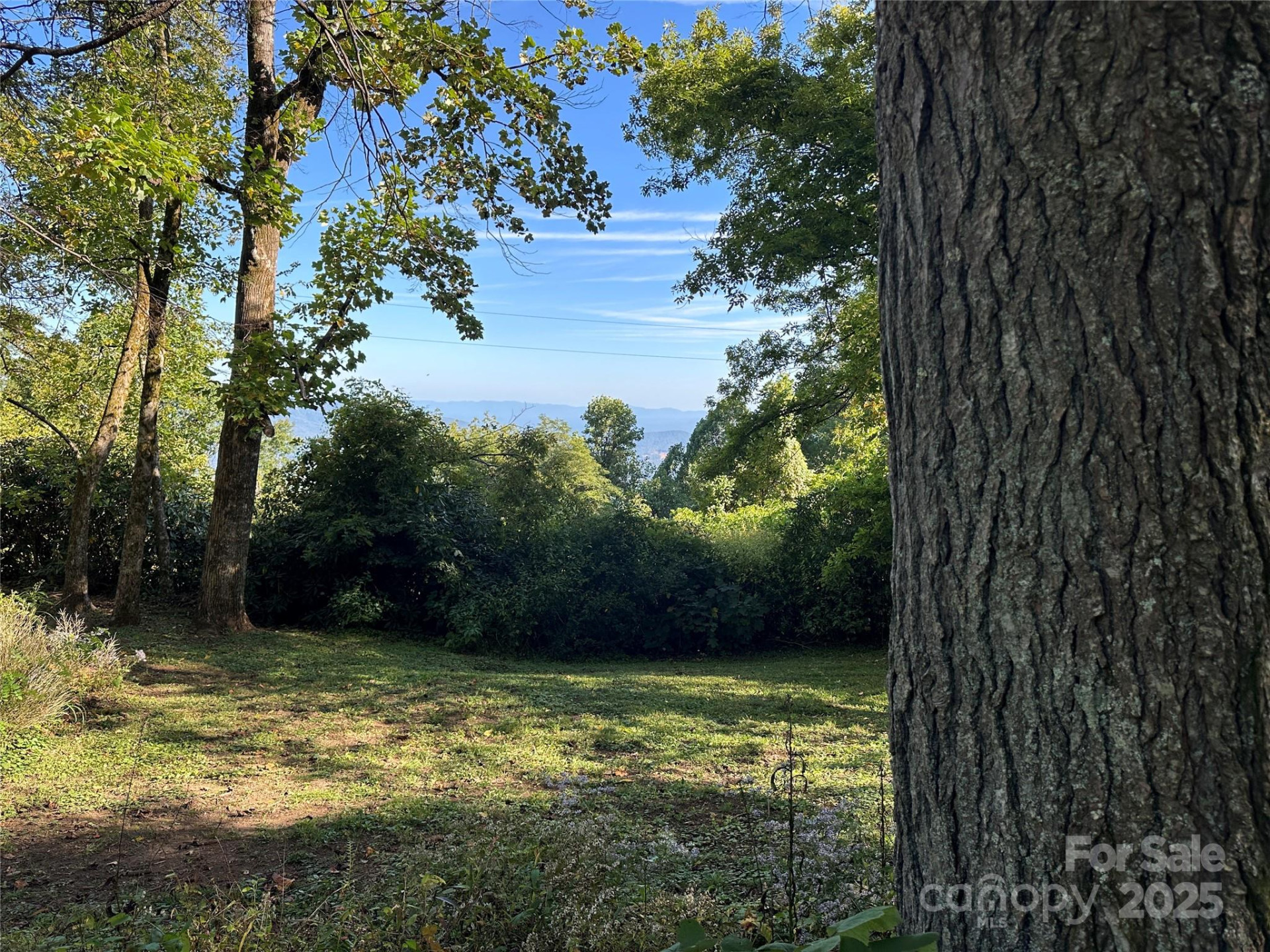 16 Osborn Knob Road - Photo 42