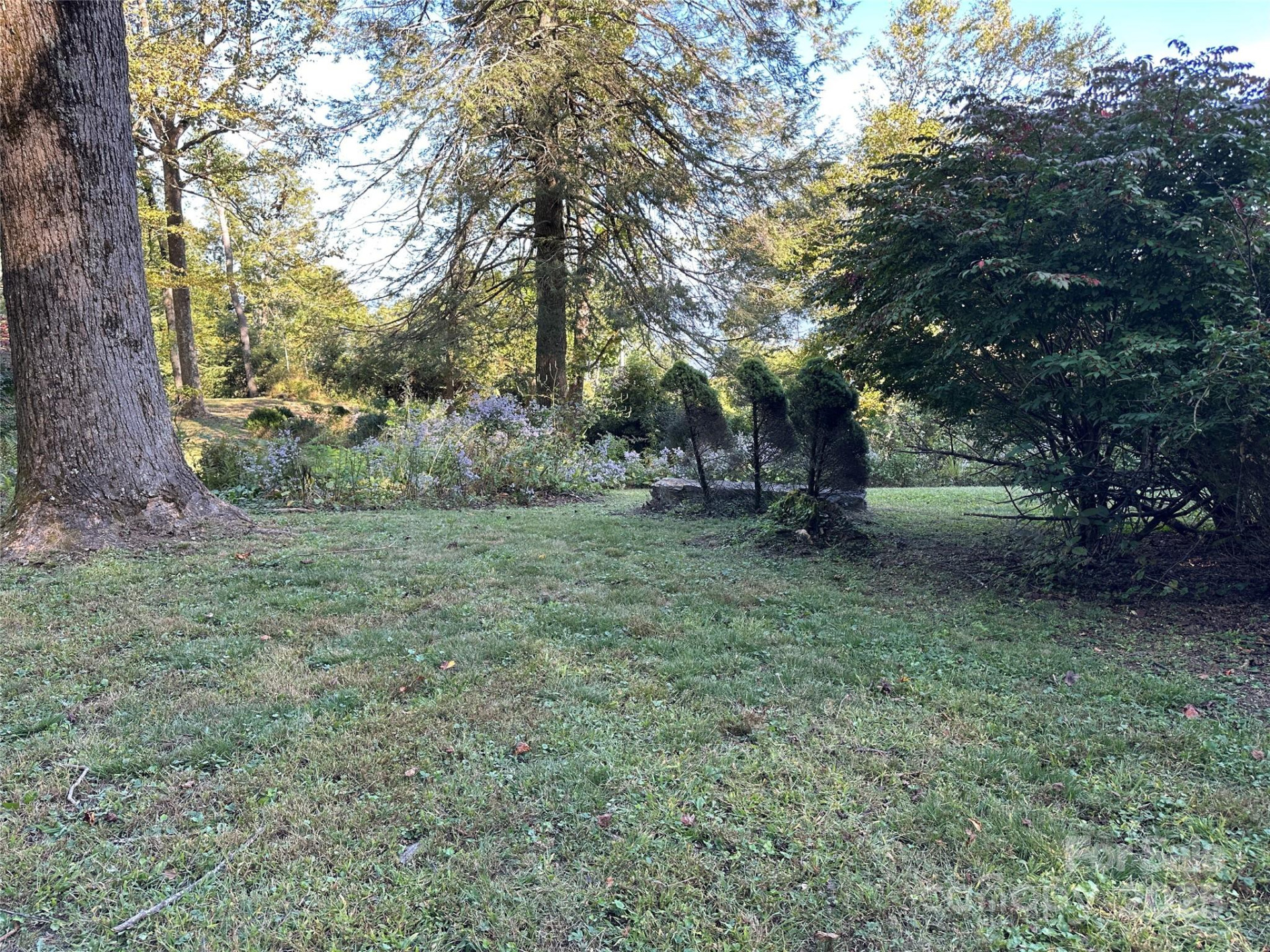 16 Osborn Knob Road - Photo 44