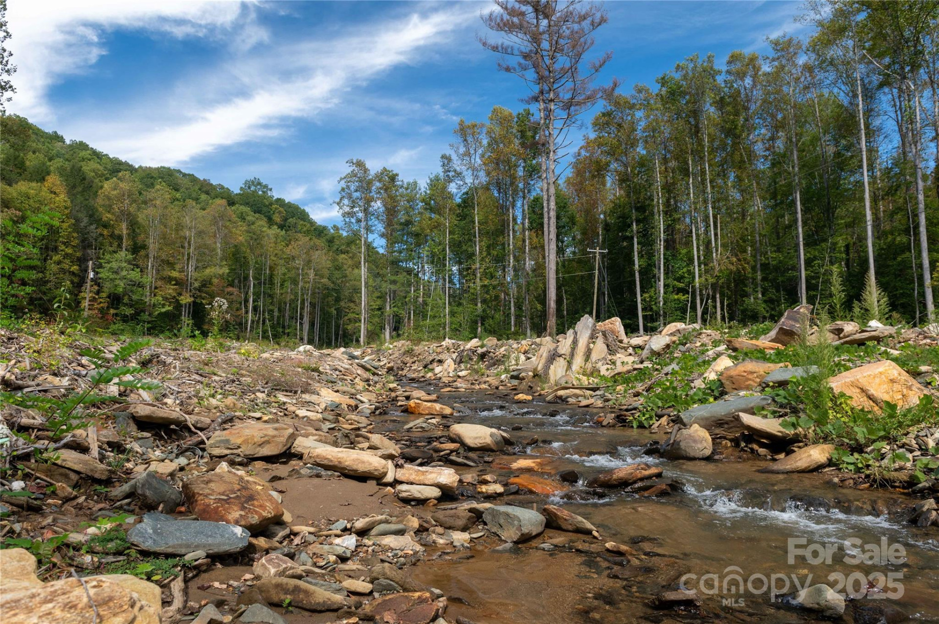 7825 Buck Creek Road - Photo 2