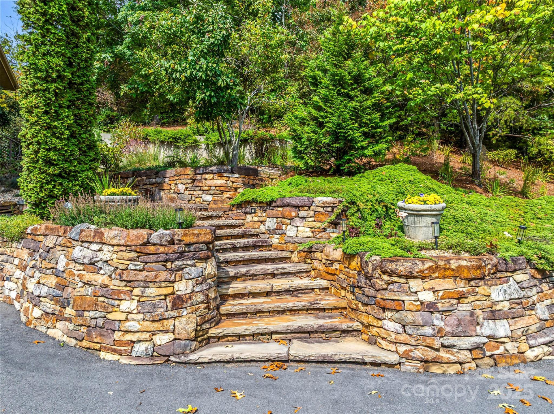 136 Senator Reynolds Road - Photo 7