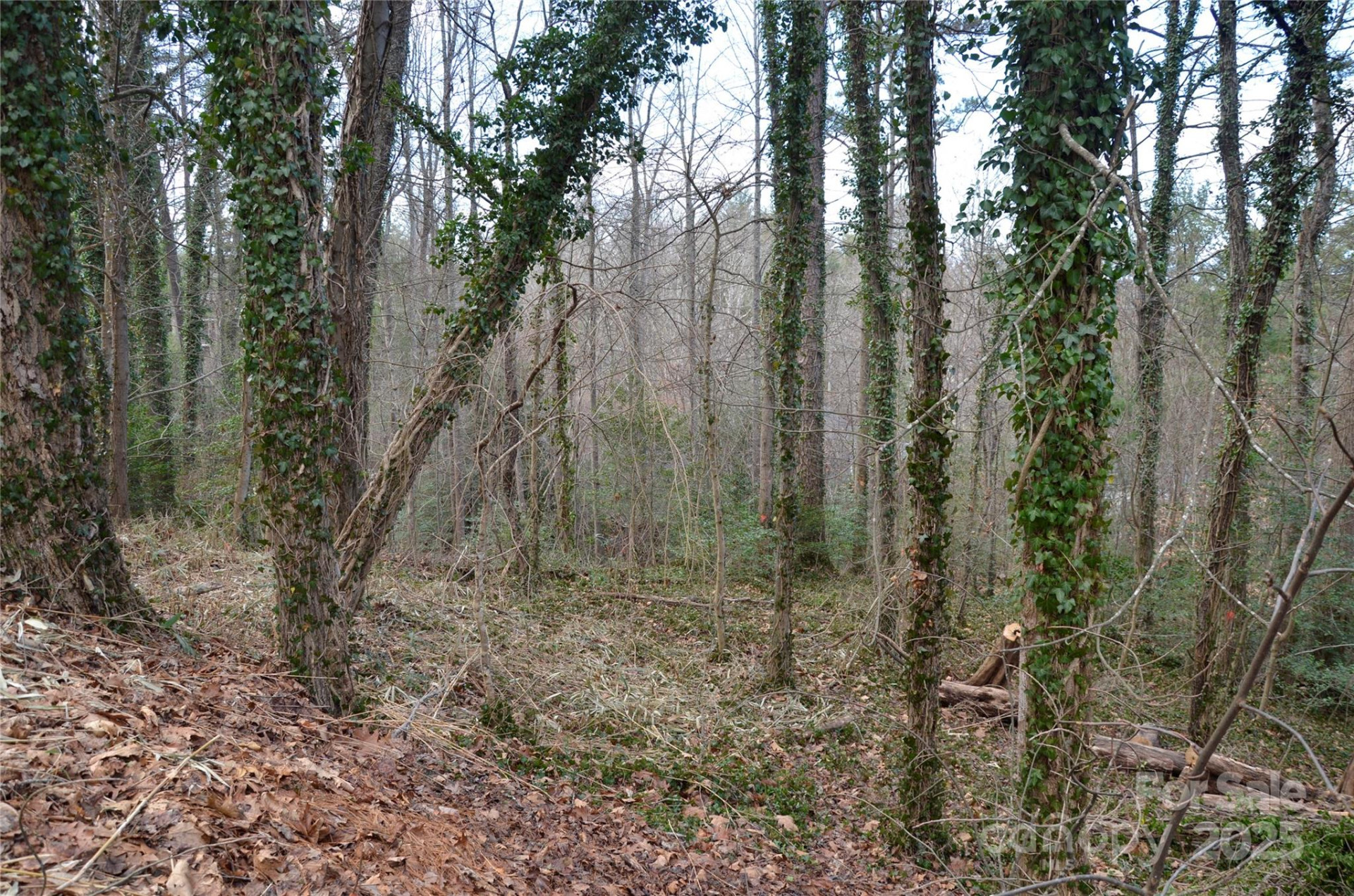 99999 Horizon Hill Road - Photo 3