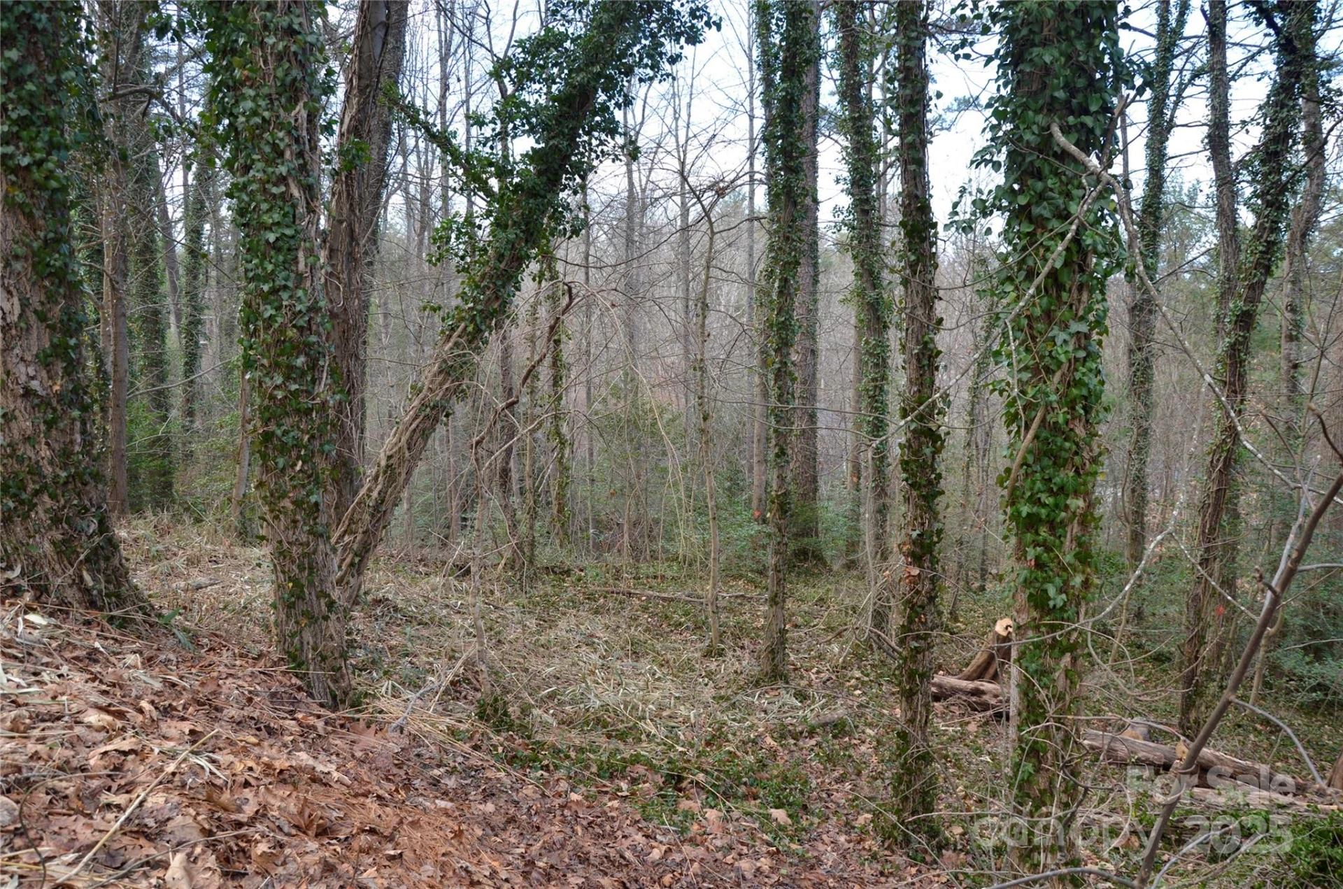 99999 Horizon Hill Road - Photo 3