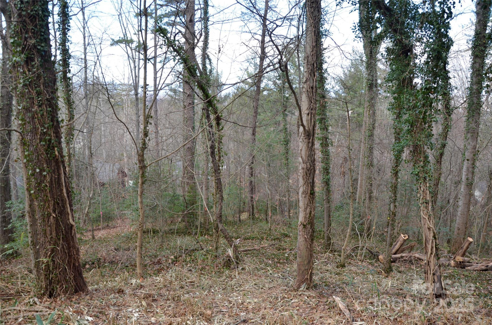 99999 Horizon Hill Road - Photo 4