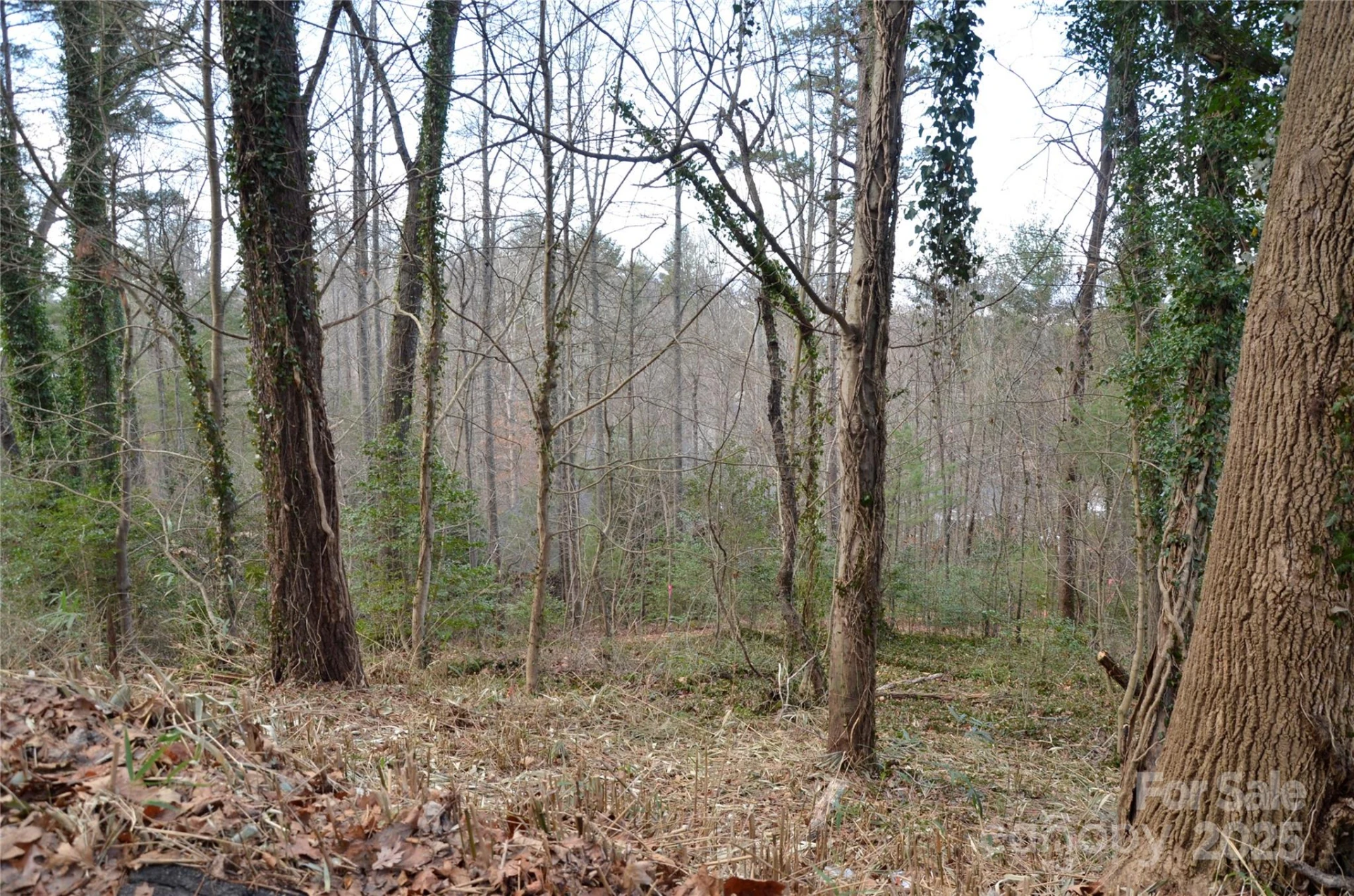 99999 Horizon Hill Road - Photo 5