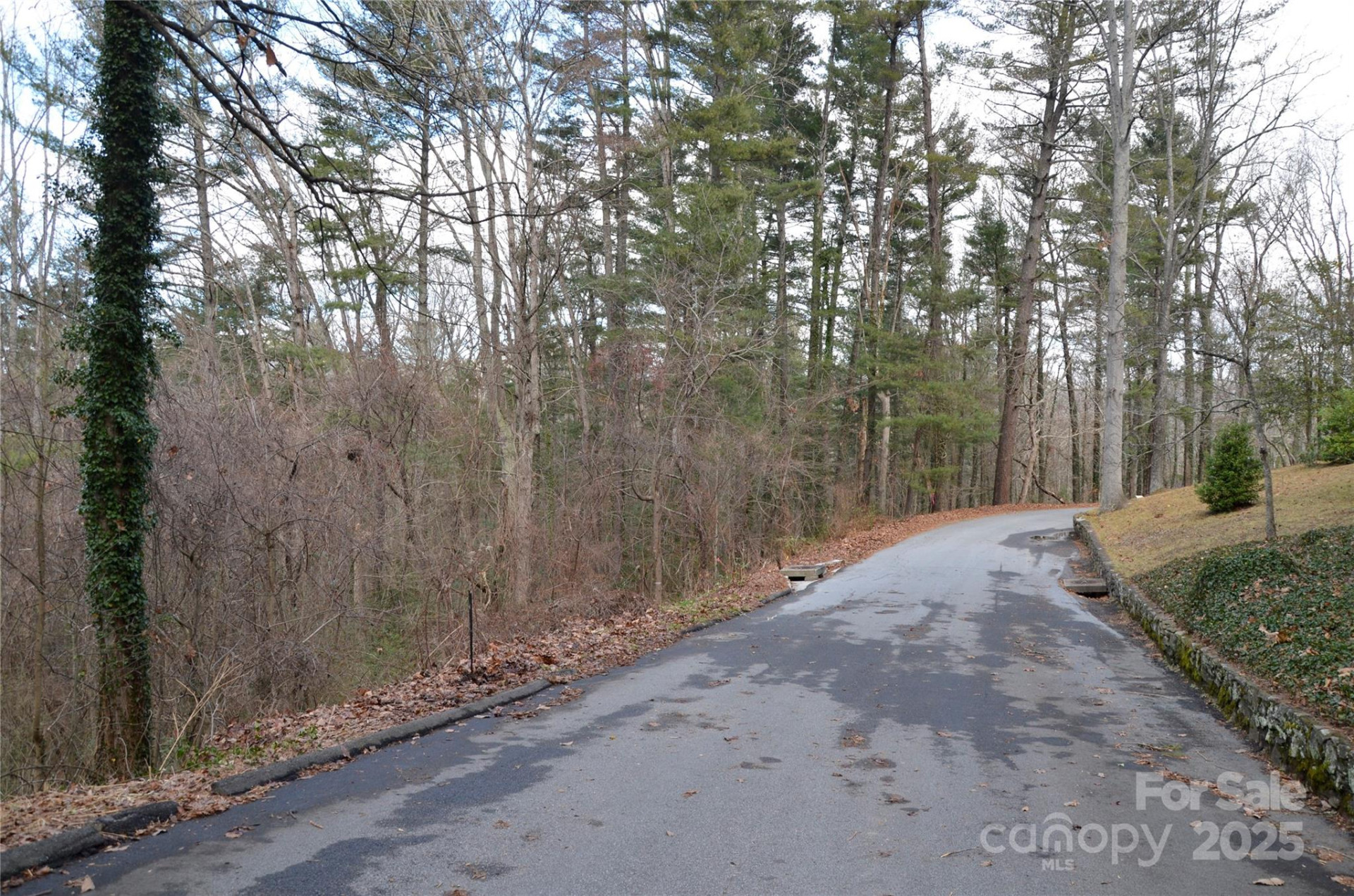 99999 Horizon Hill Road - Photo 6