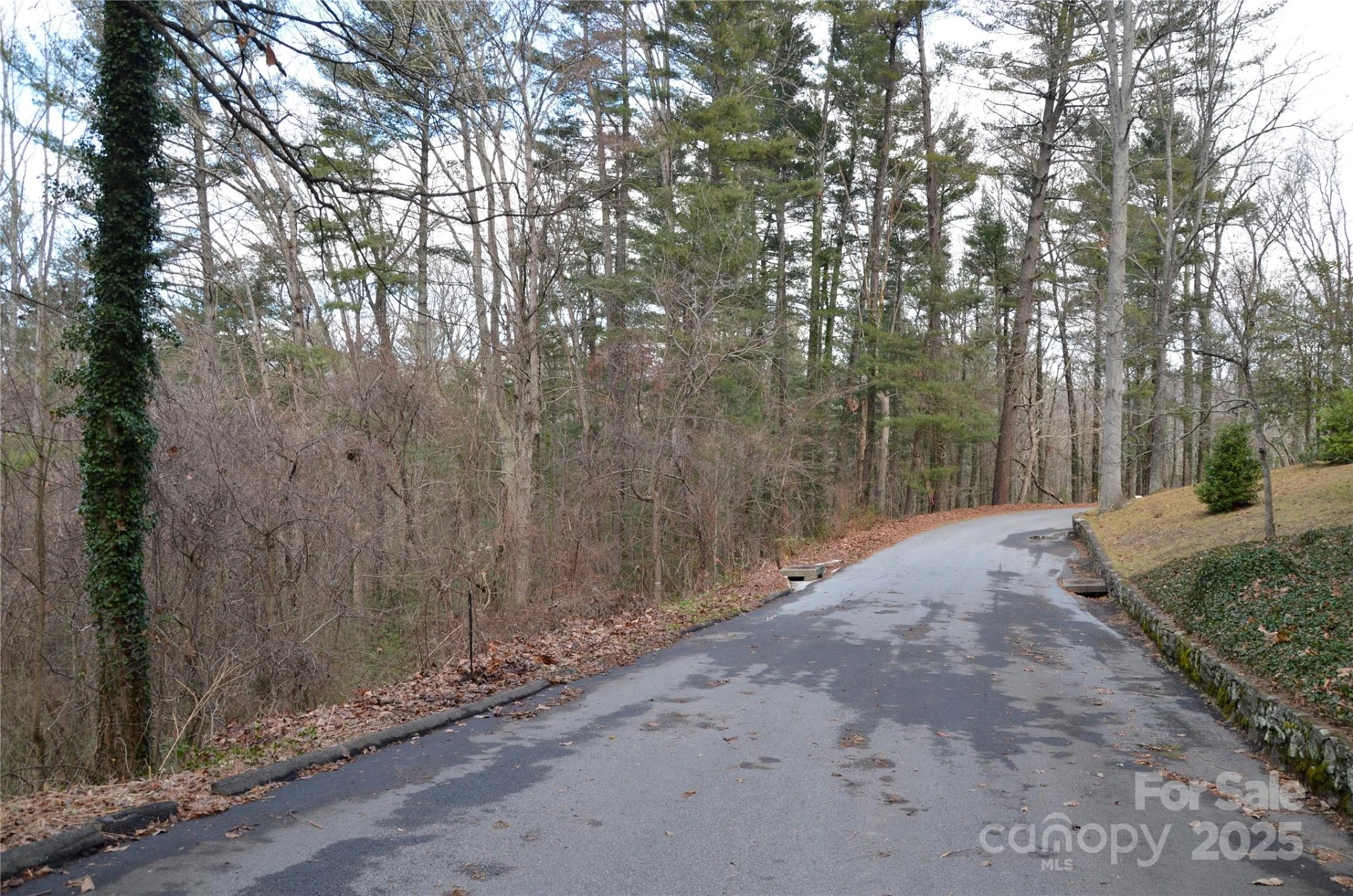 99999 Horizon Hill Road - Photo 6