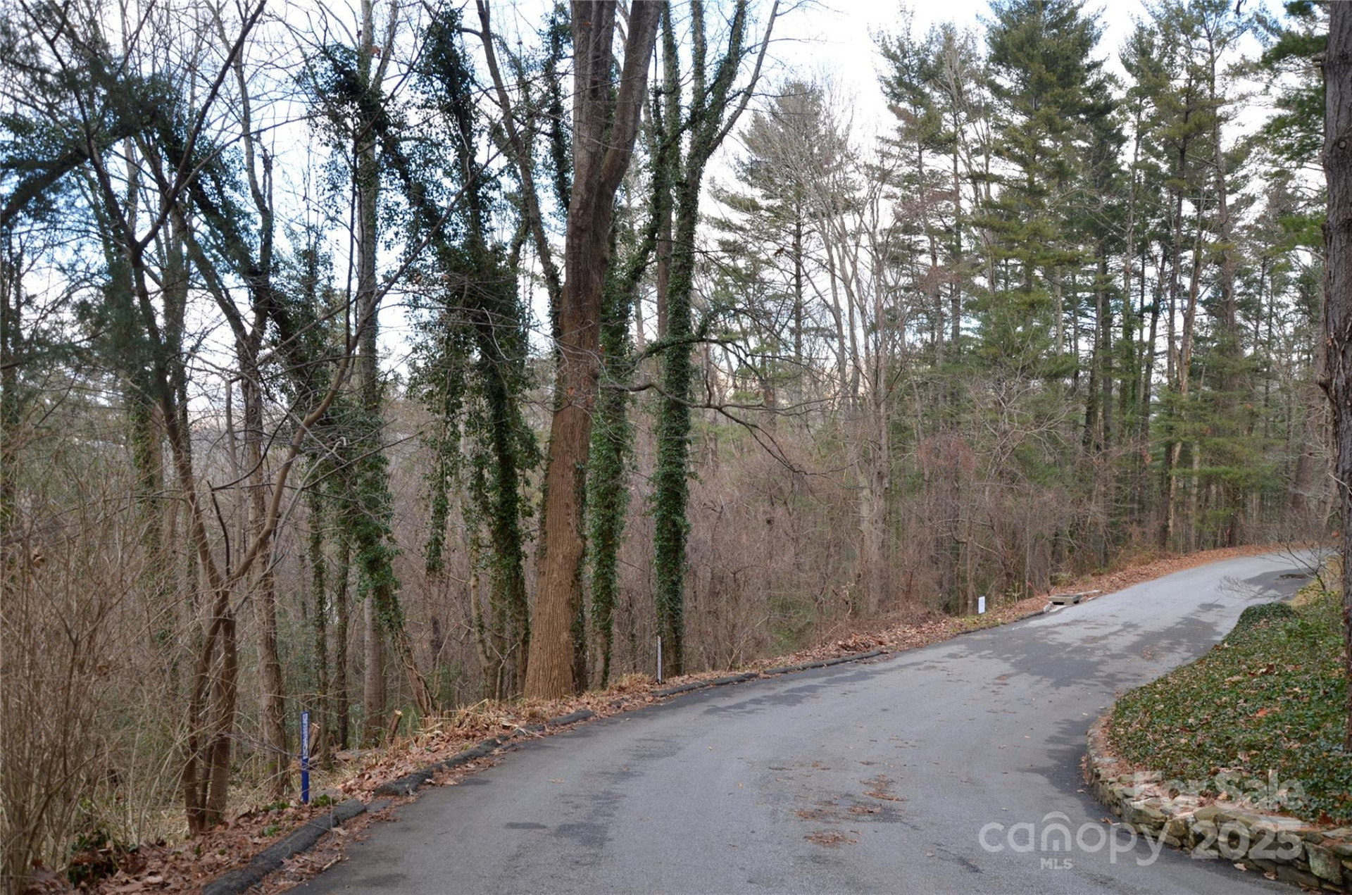 99999 Horizon Hill Road - Photo 7