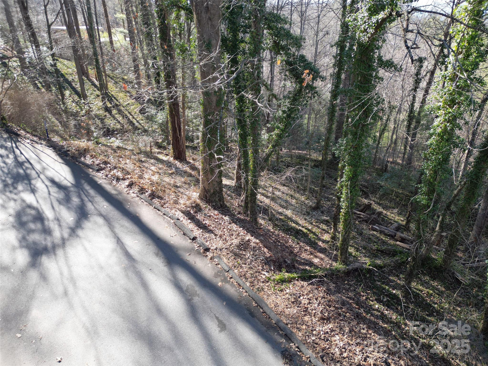 99999 Horizon Hill Road - Photo 8