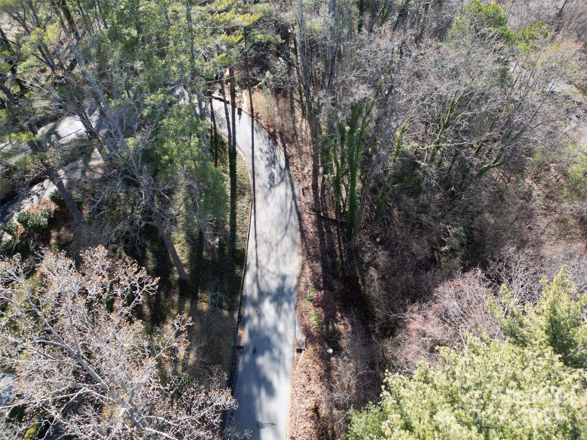 99999 Horizon Hill Road - Photo 9