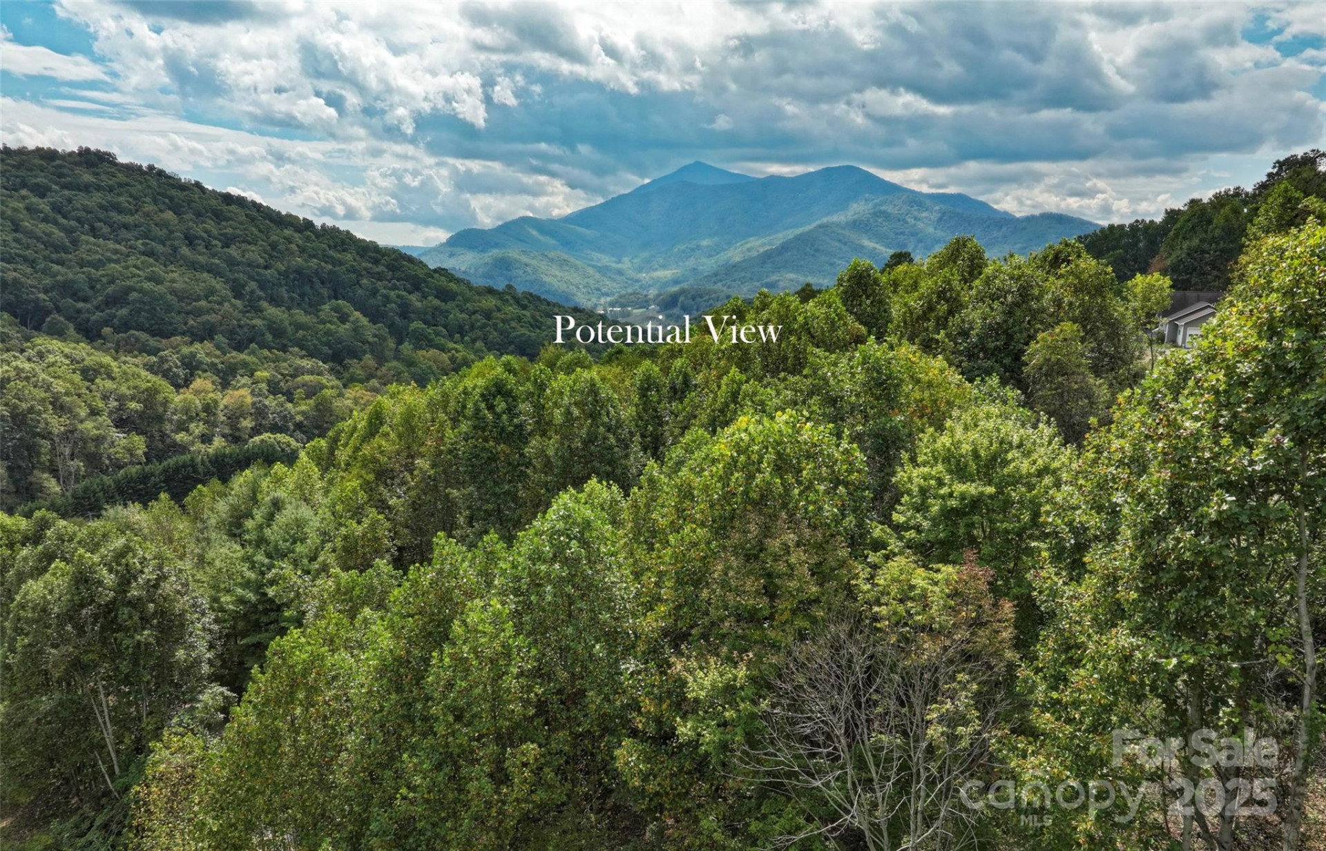 0 Majestic Mountain Drive #11 - Photo 3