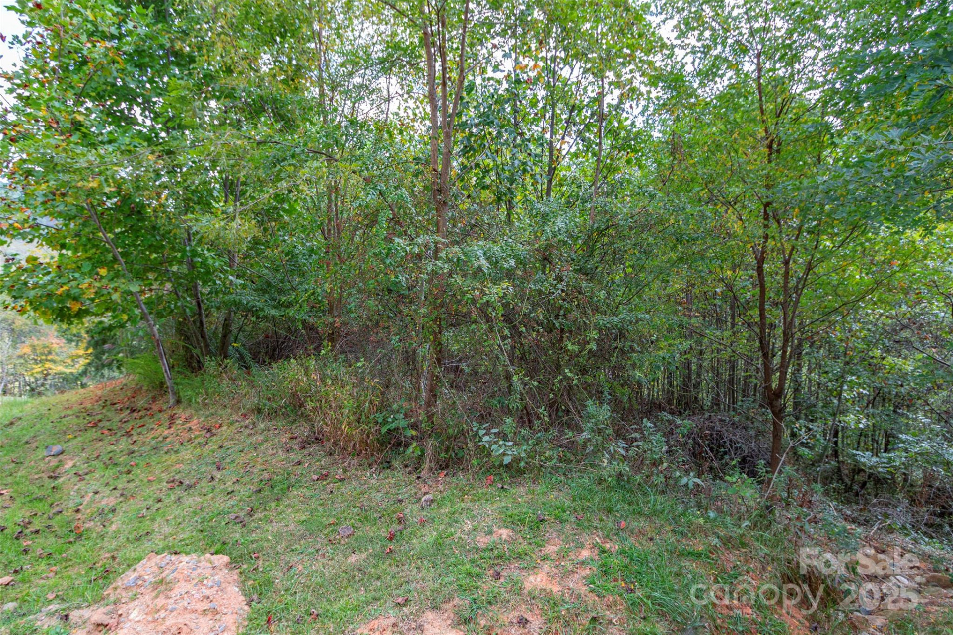 0 Majestic Mountain Drive #11 - Photo 4