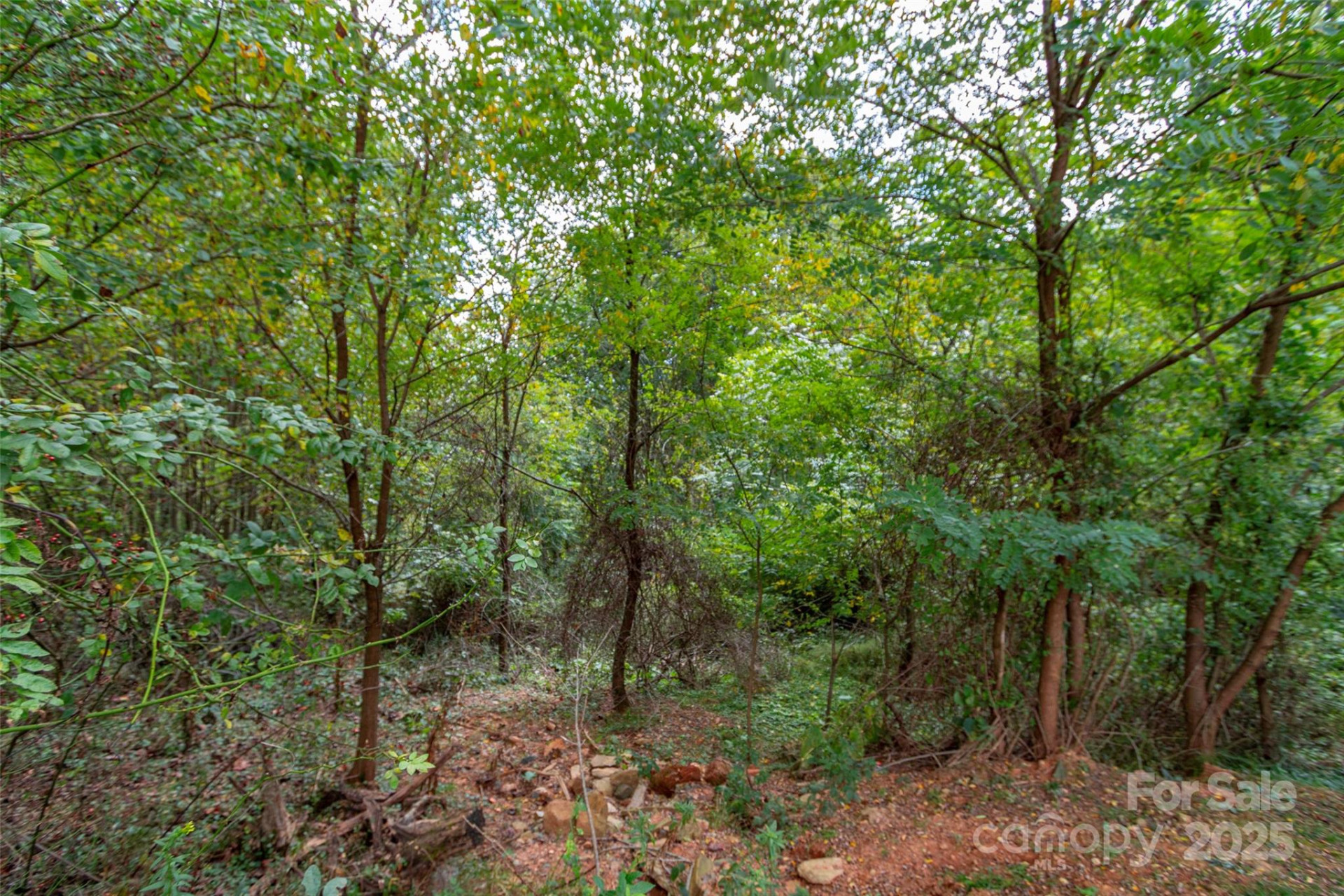 0 Majestic Mountain Drive #11 - Photo 6