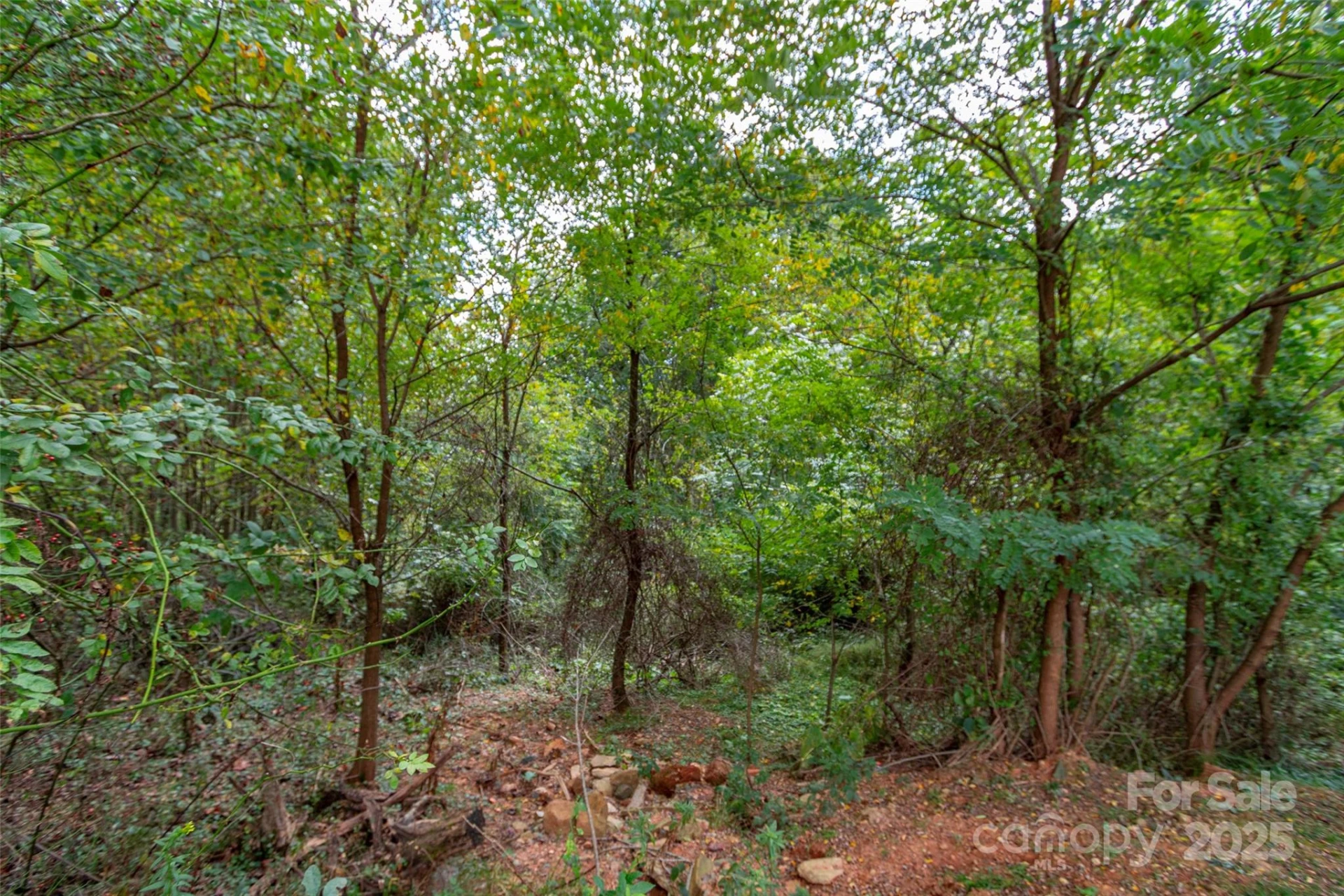 0 Majestic Mountain Drive #11 - Photo 6