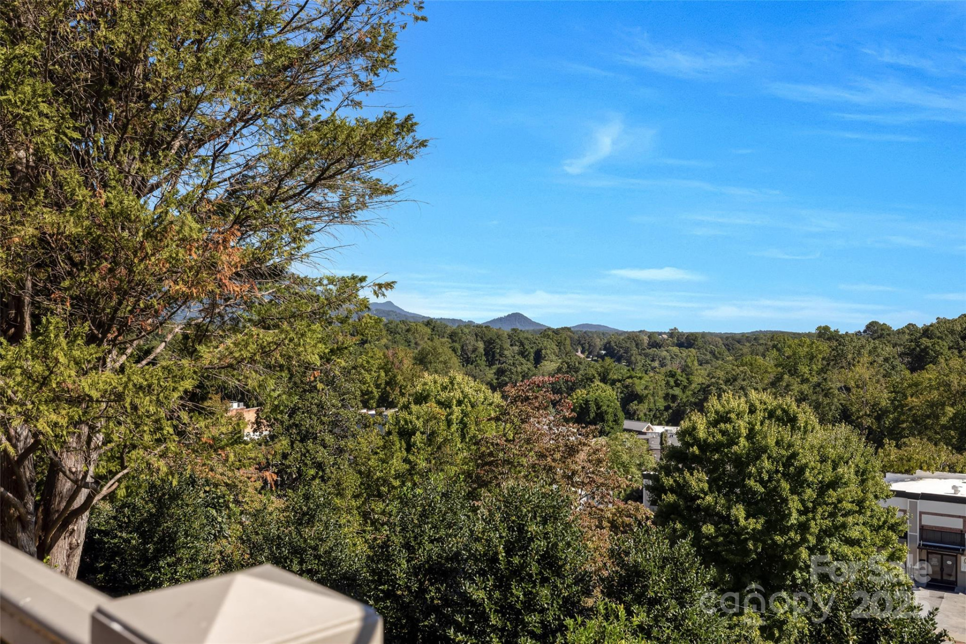 77 Chestnut Street #303 - Photo 12