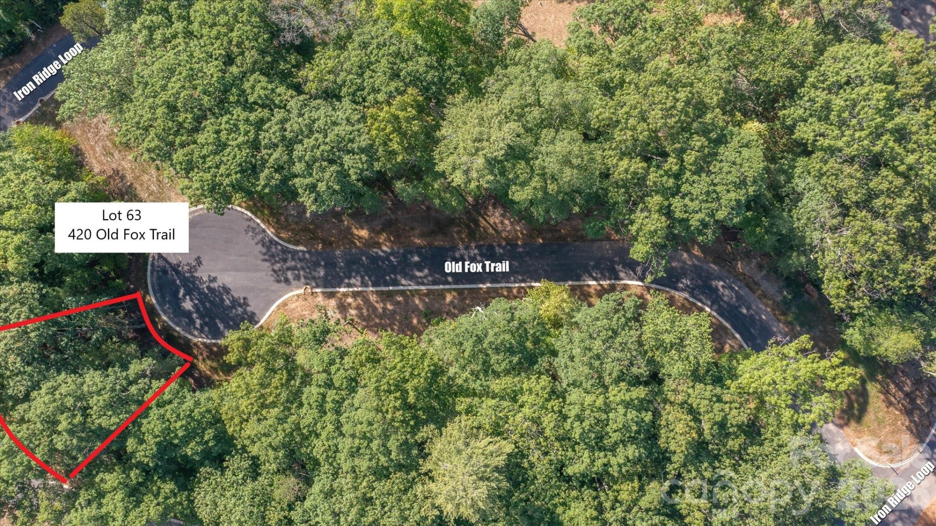 420 Old Fox Trail #63 - Photo 7