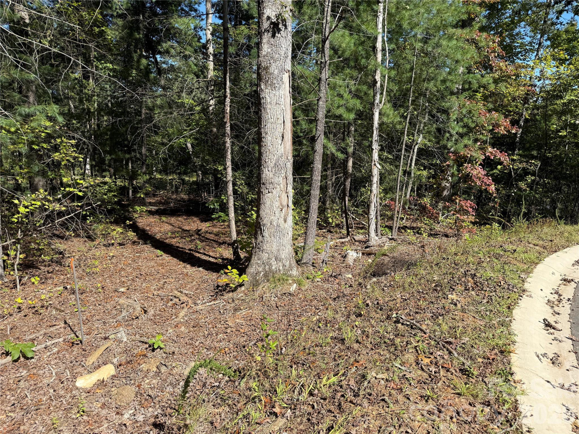 420 Old Fox Trail #63 - Photo 11