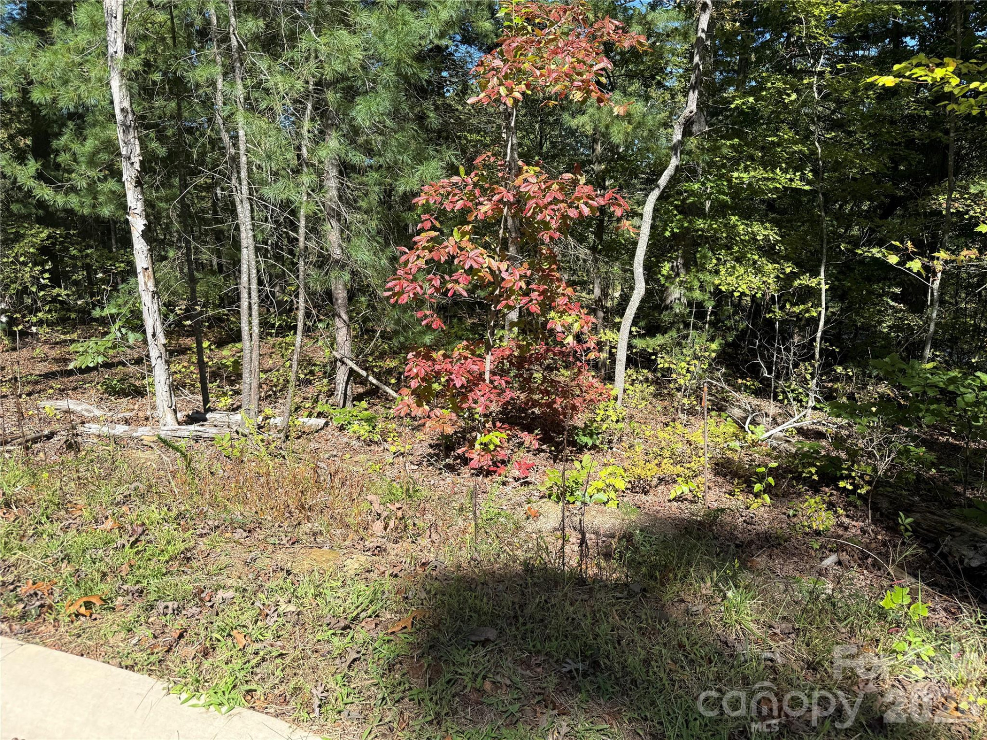 420 Old Fox Trail #63 - Photo 13