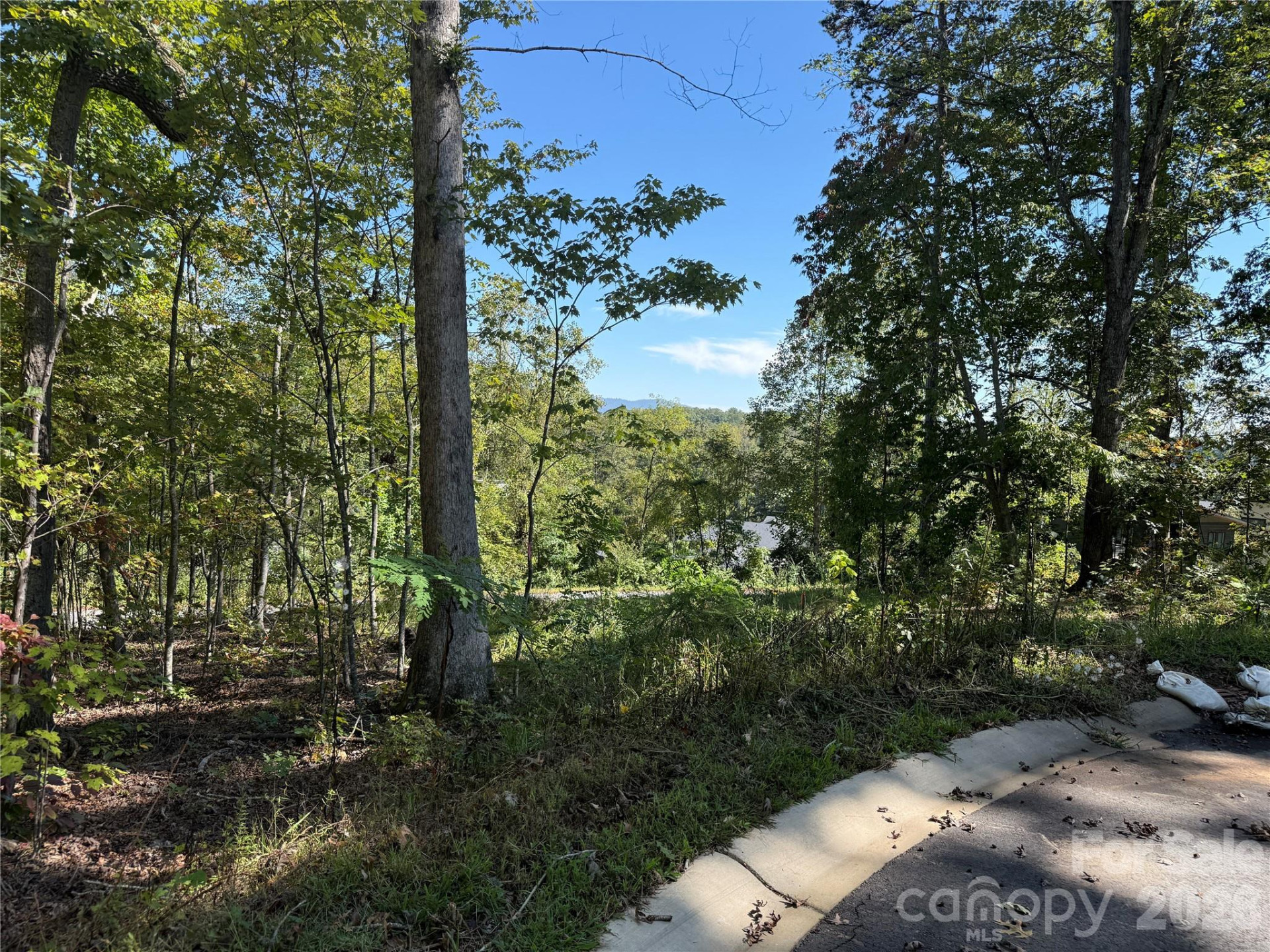 420 Old Fox Trail #63 - Photo 15