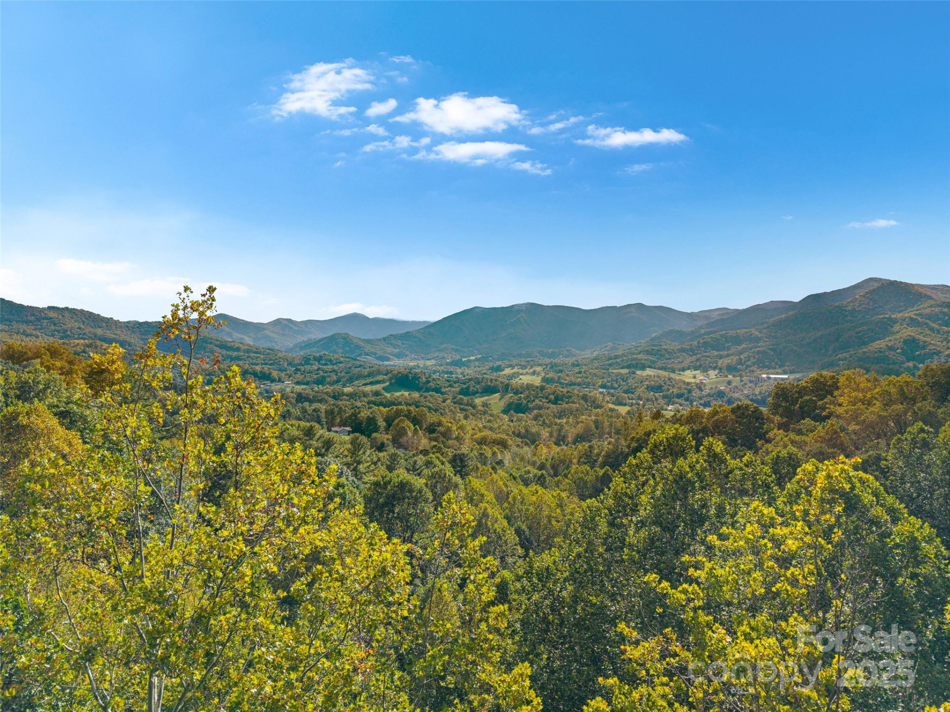 1465 Maple Springs Drive - Photo 2