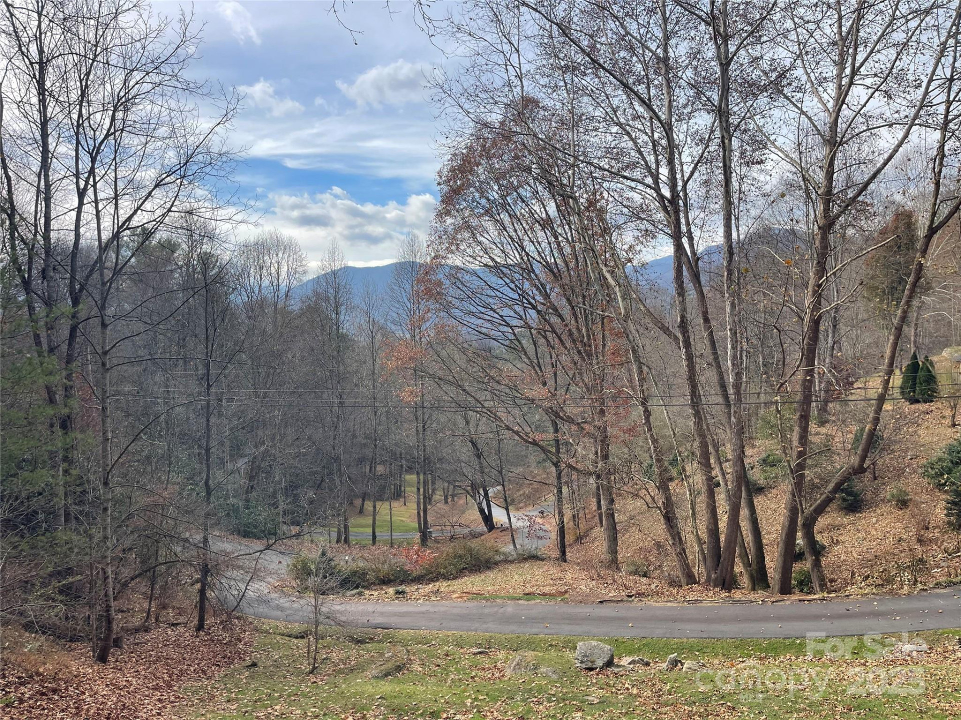 1465 Maple Springs Drive - Photo 4