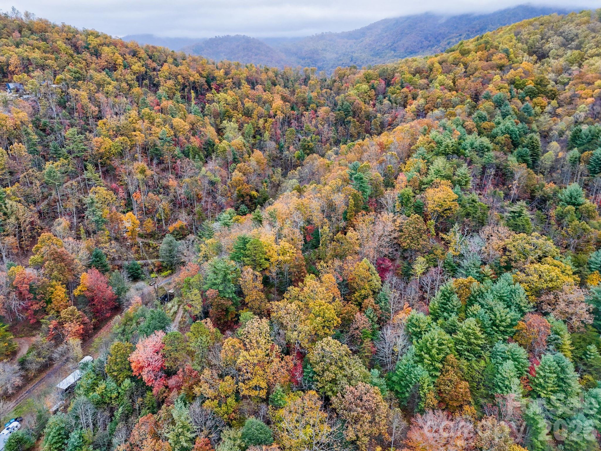 13 Spring Valley Way - Photo 14