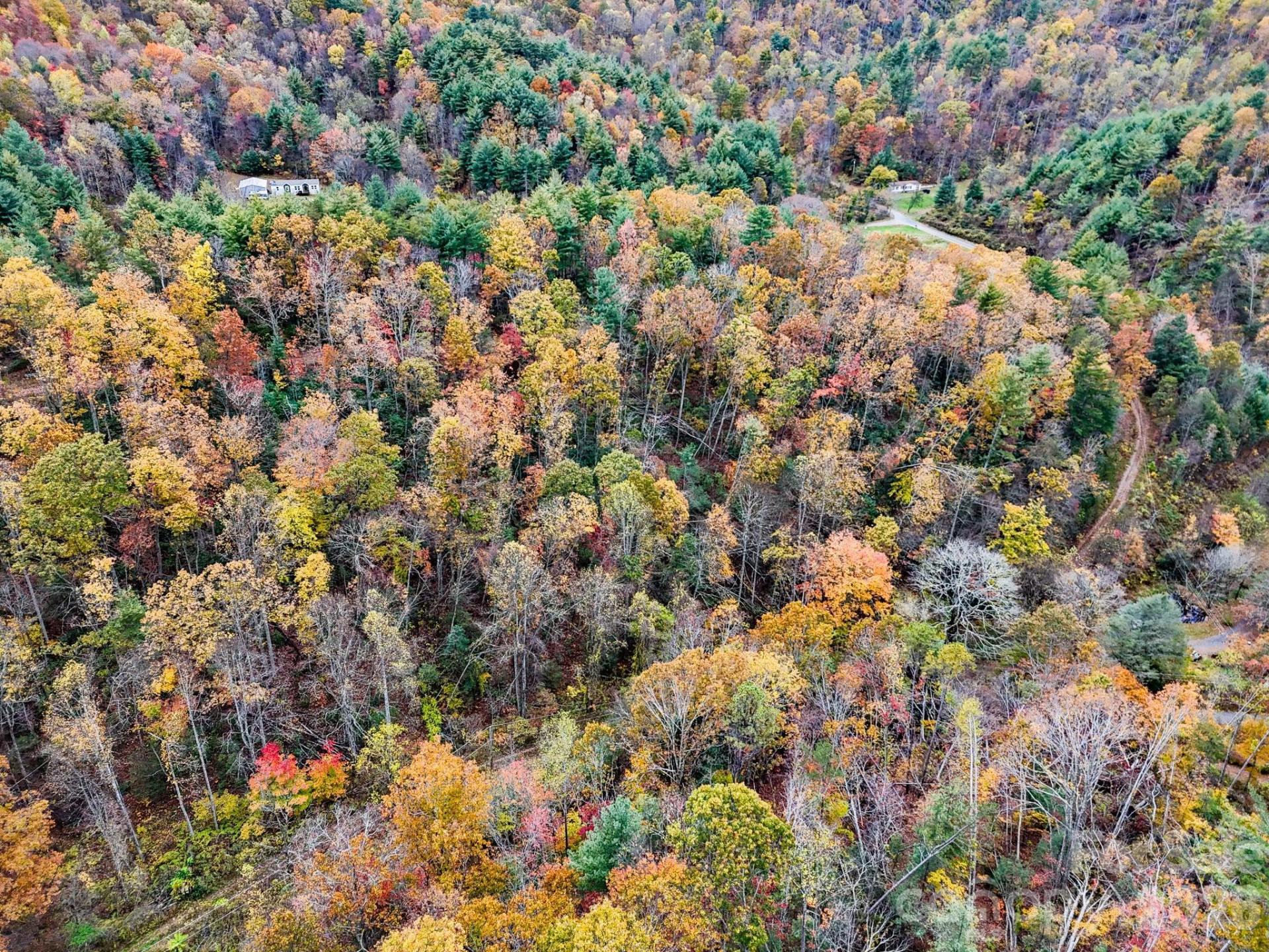 13 Spring Valley Way - Photo 6