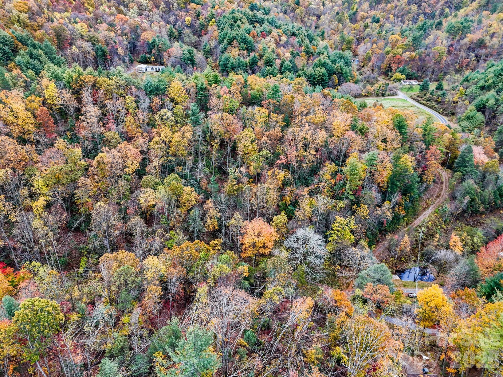 13 Spring Valley Way - Photo 8