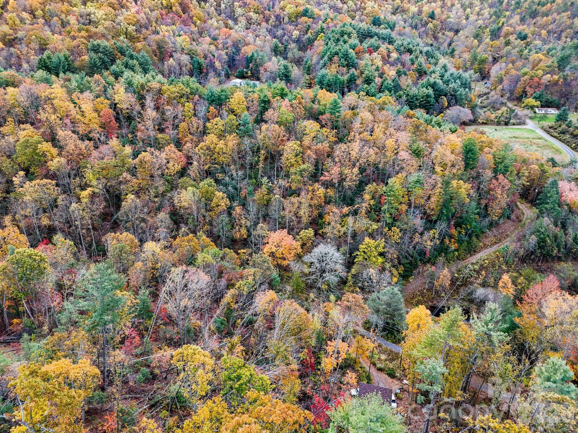 13 Spring Valley Way - Photo 9