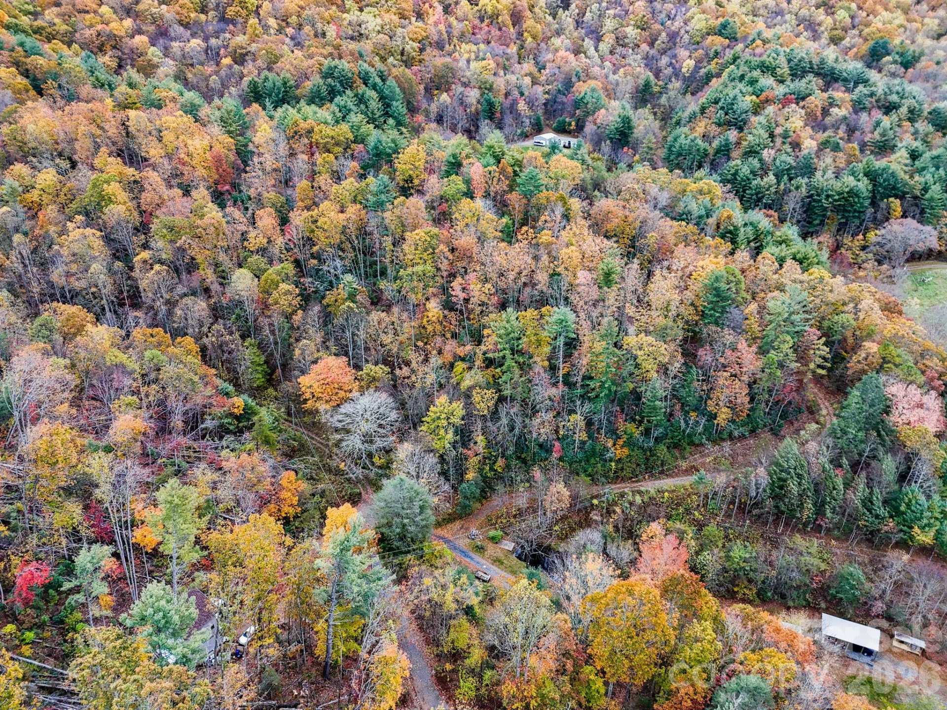 13 Spring Valley Way - Photo 10