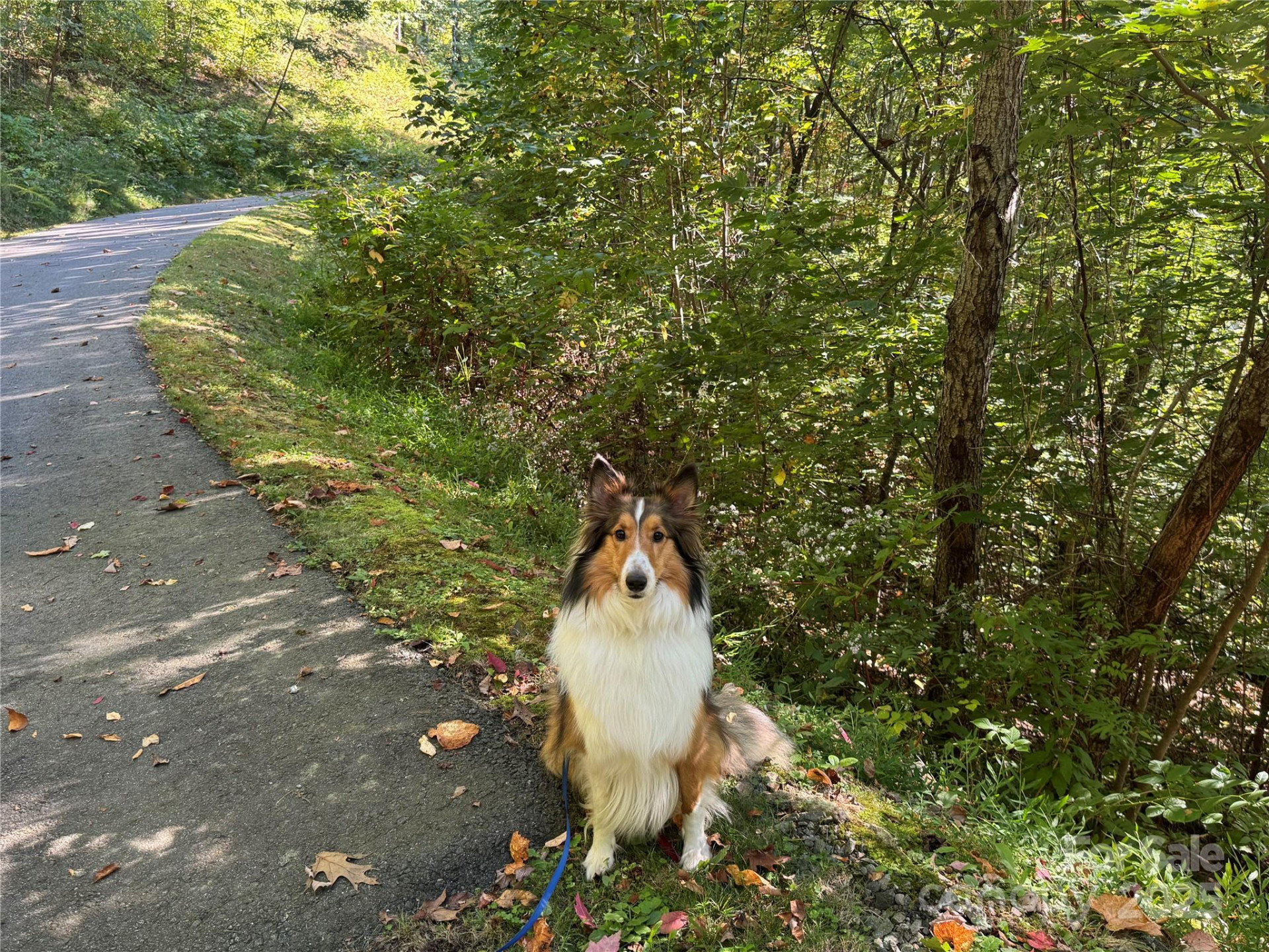 400 High Hickory Trail #25 - Photo 2