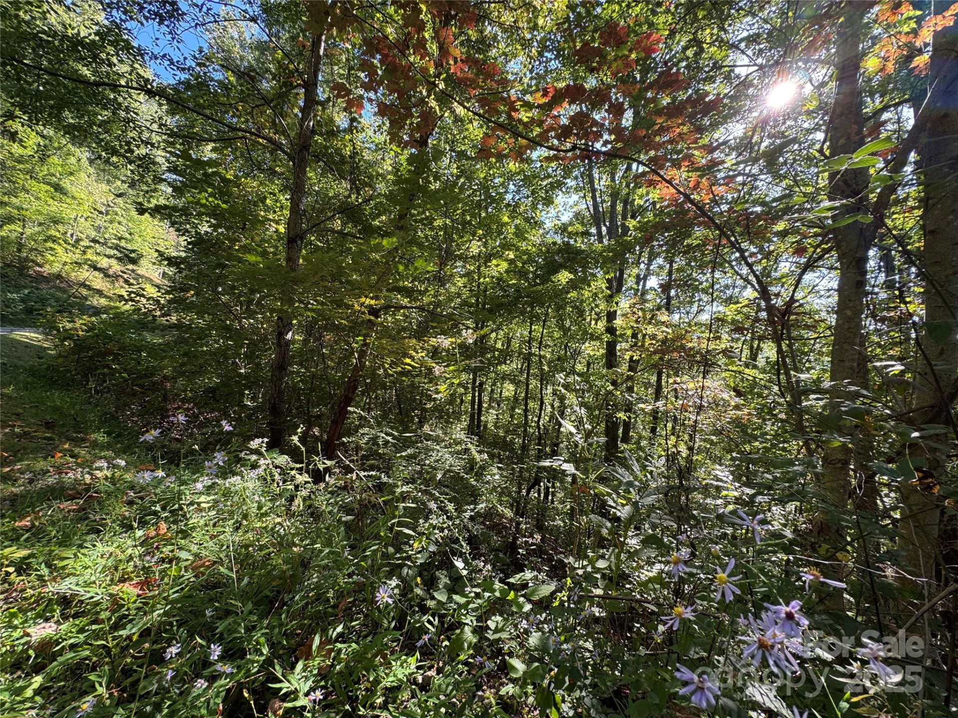 400 High Hickory Trail #25 - Photo 3