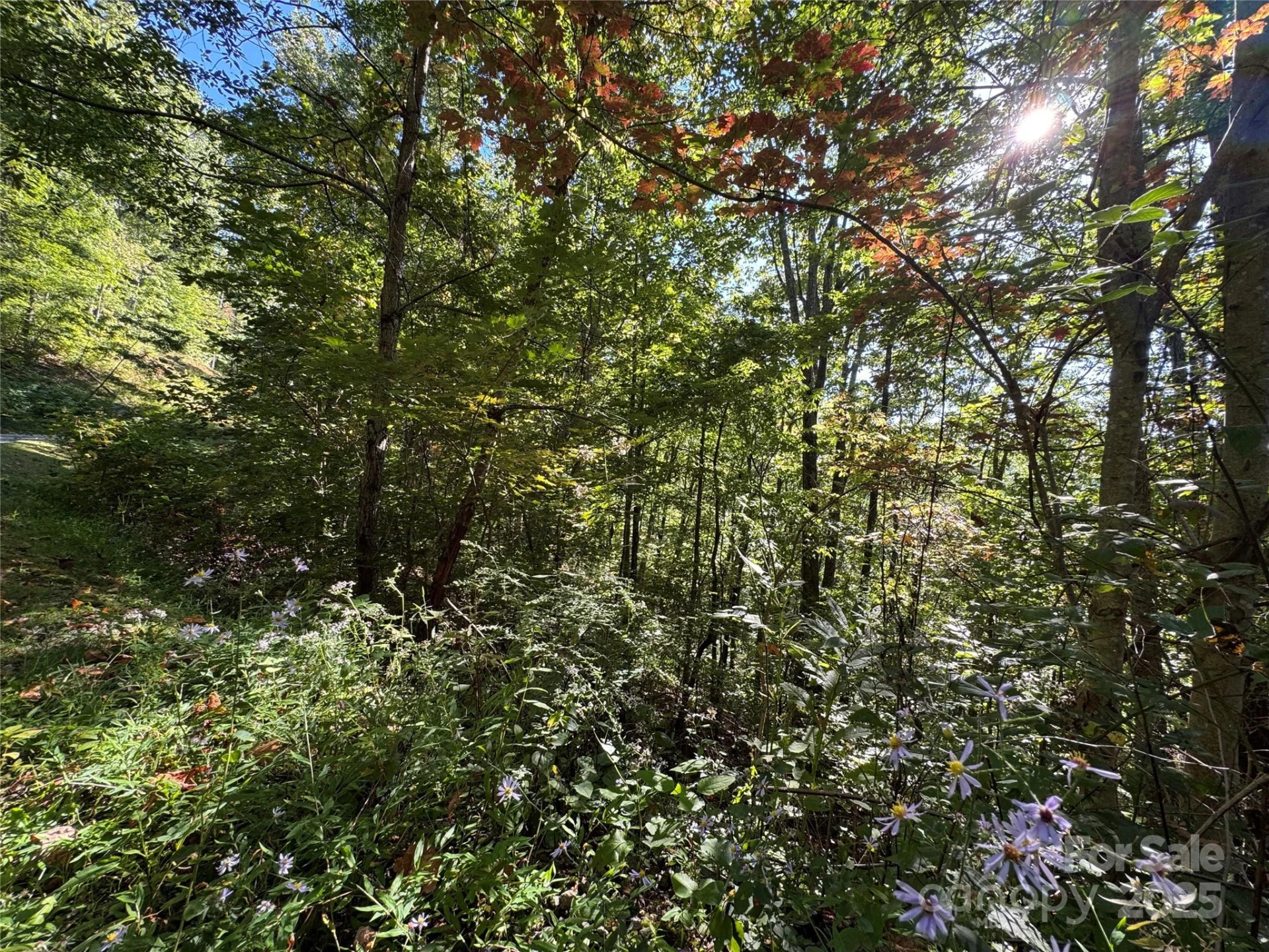 400 High Hickory Trail #25 - Photo 3