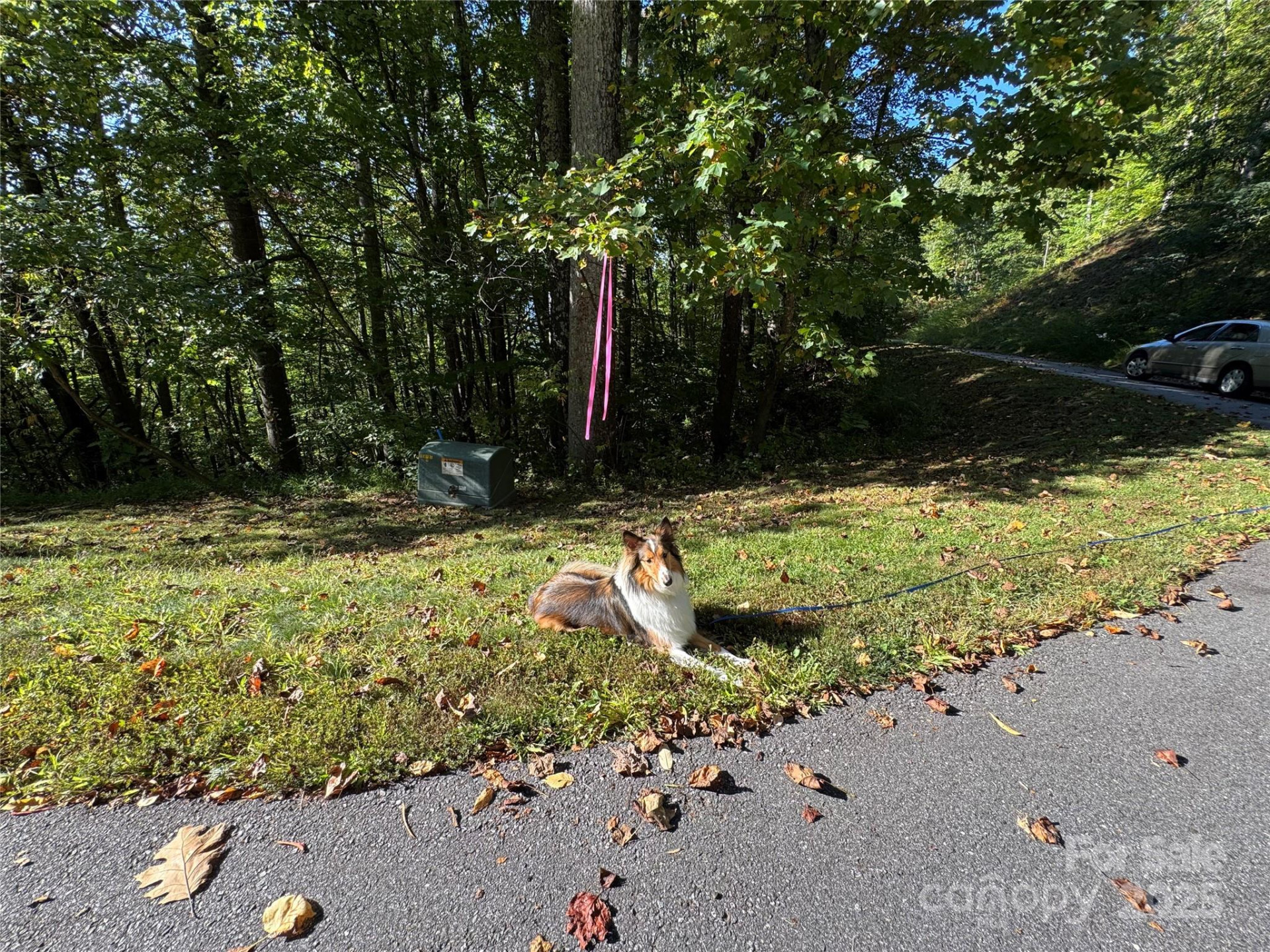 400 High Hickory Trail #25 - Photo 4