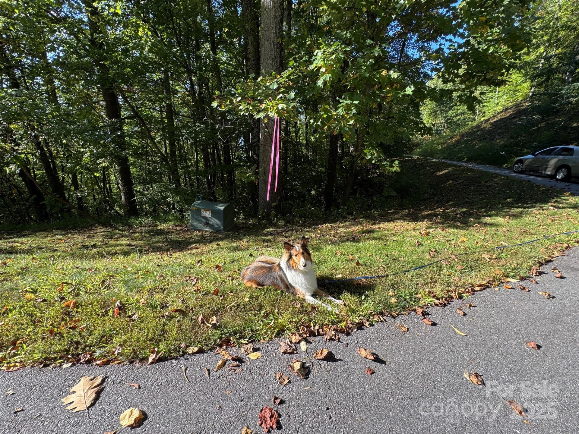 400 High Hickory Trail #25 - Photo 4