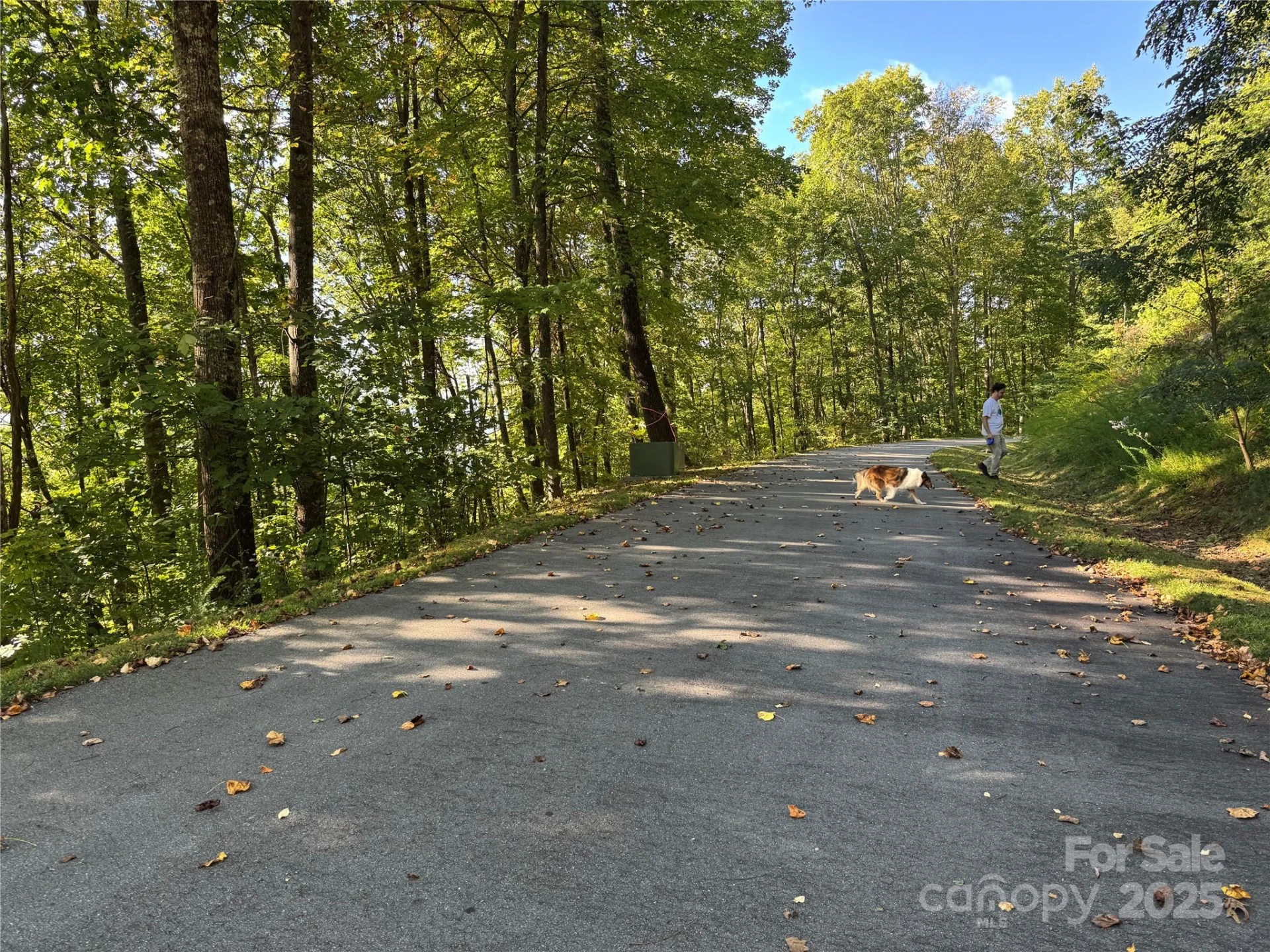 400 High Hickory Trail #25 - Photo 5