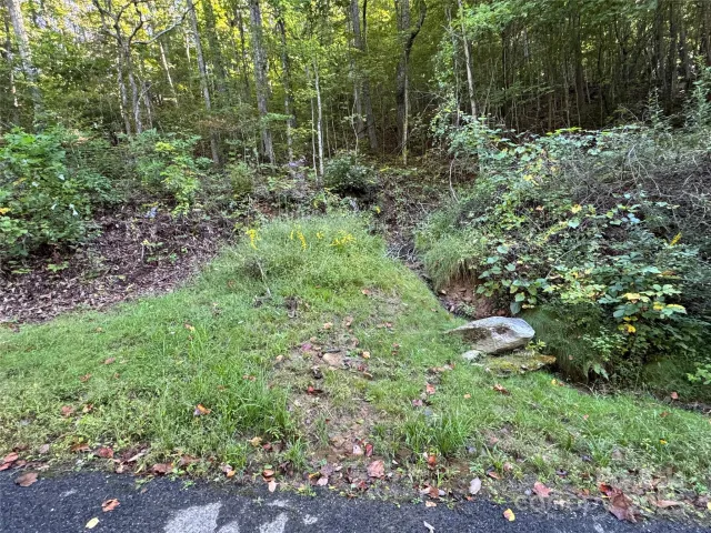 999 Red Oak Forest Road, Fairview, NC, 28730