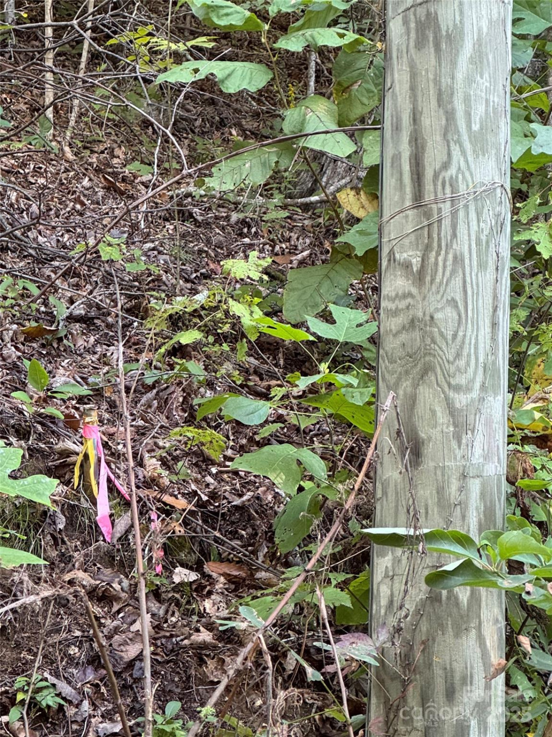 999 Red Oak Forest Road - Photo 3