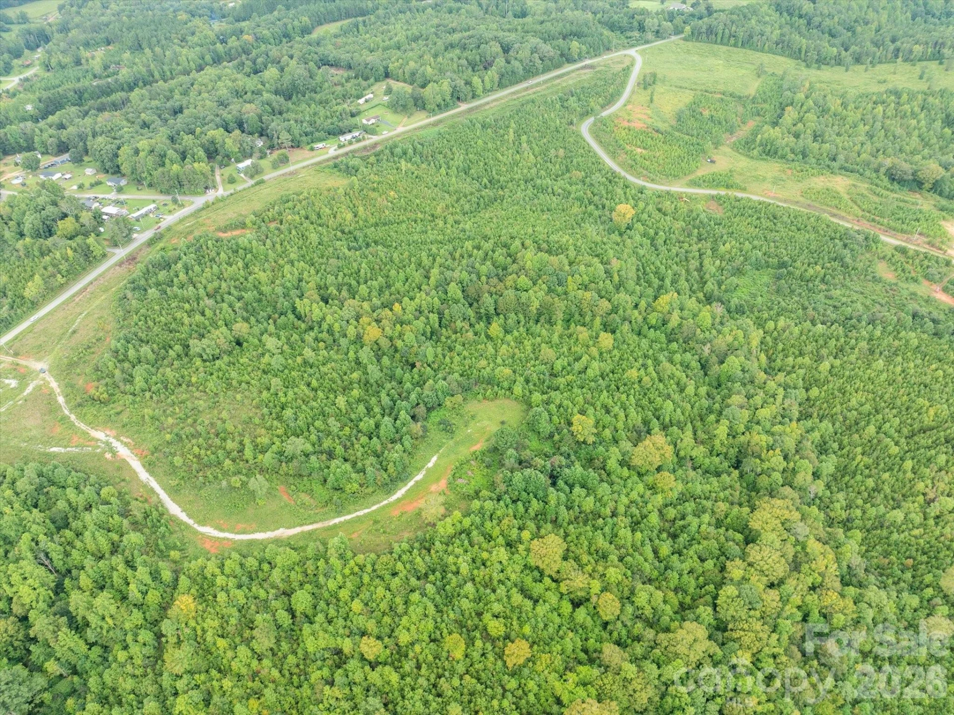 TBD Pea Ridge Road - Photo 9